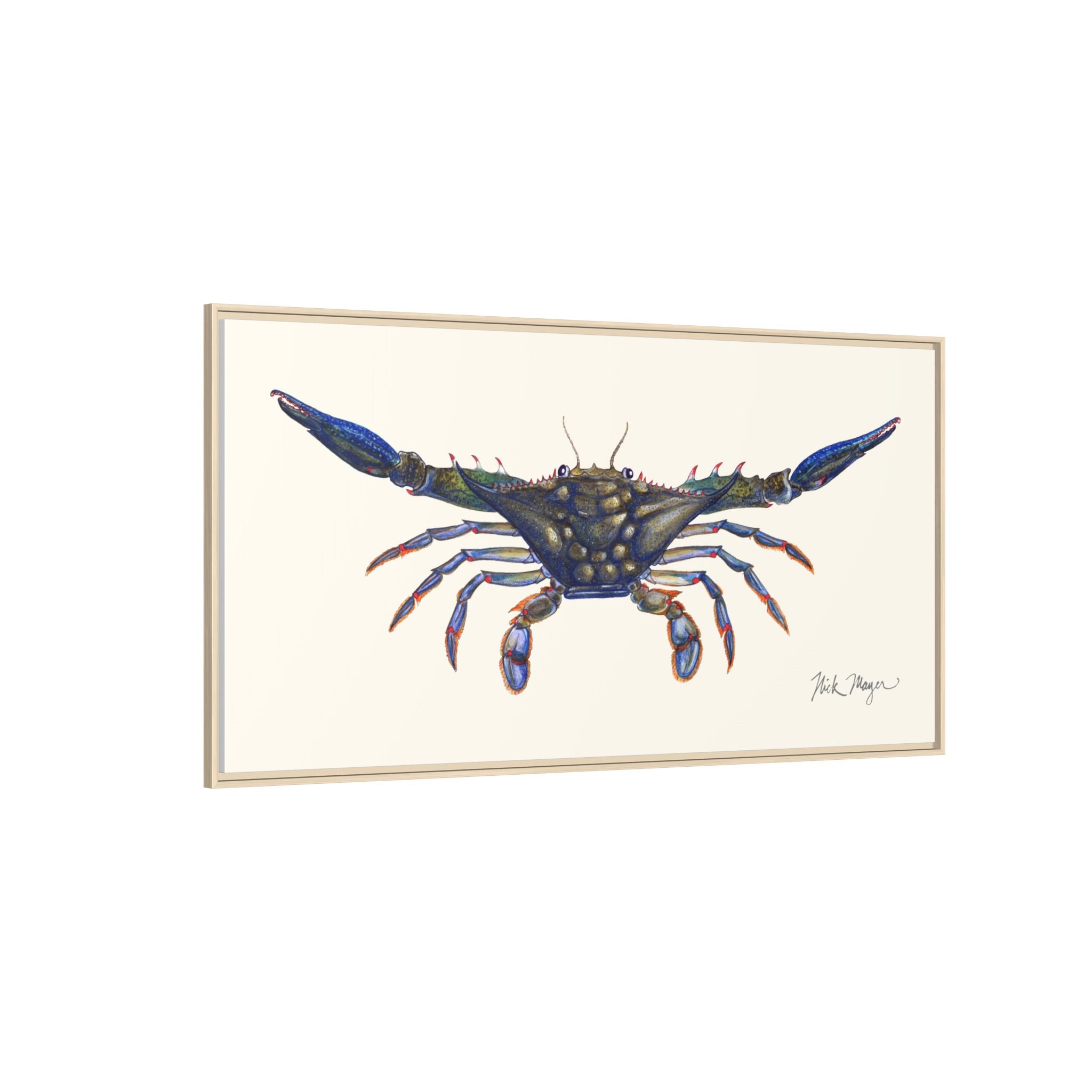 Blue Crab, Claws Out Framed Canvas Print Printify