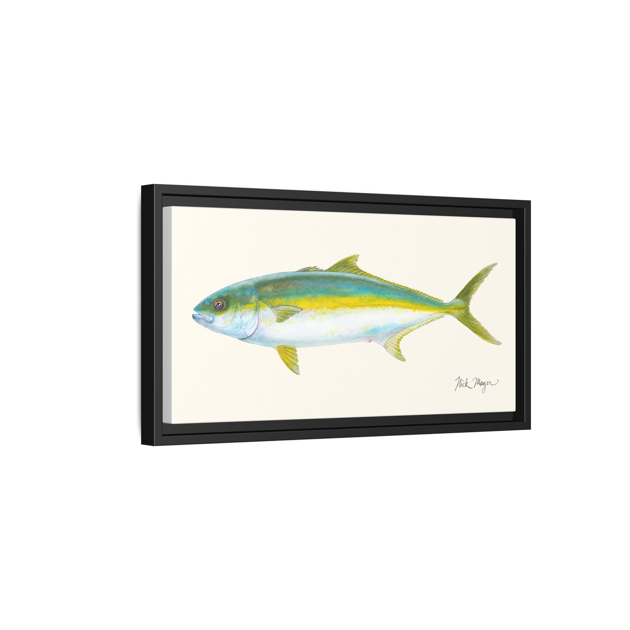 California Yellowtail I Framed Canvas Print Printify