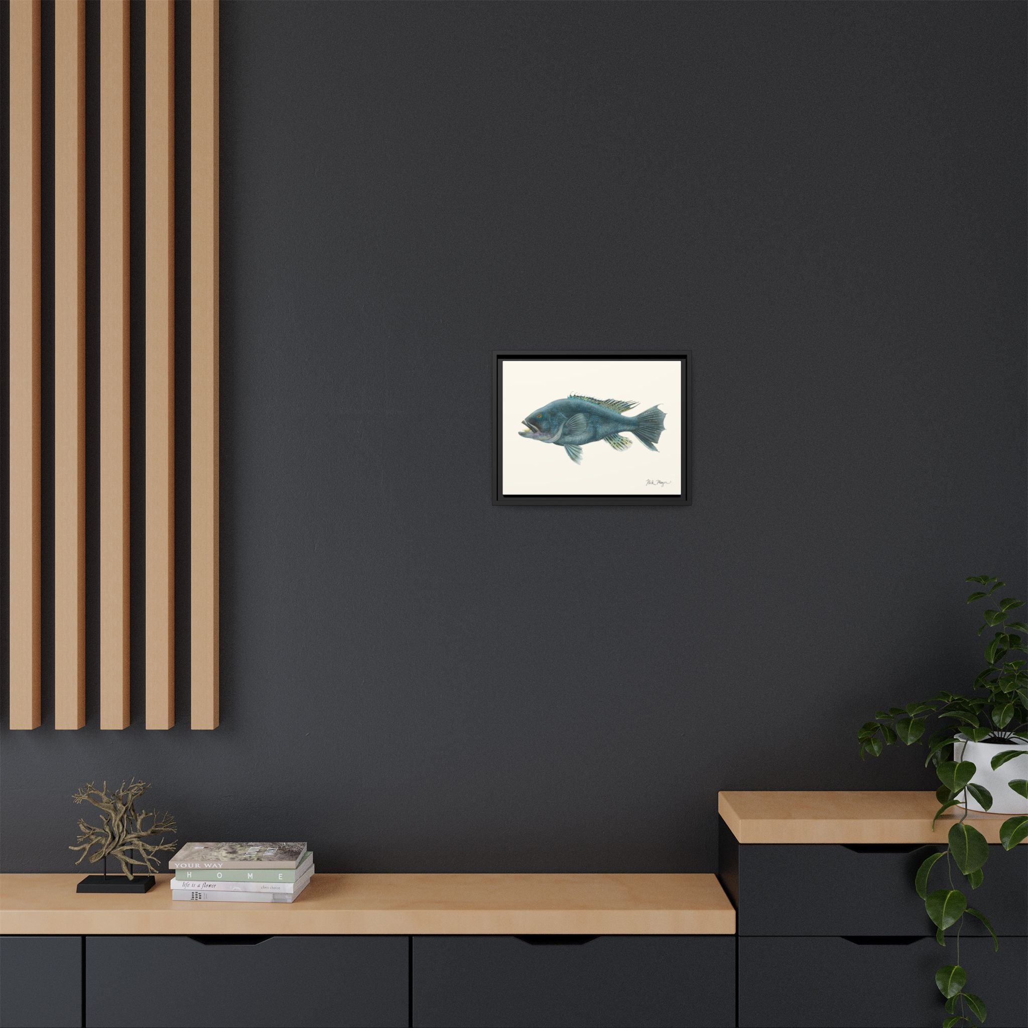 Black Sea Bass Framed Canvas Print Printify