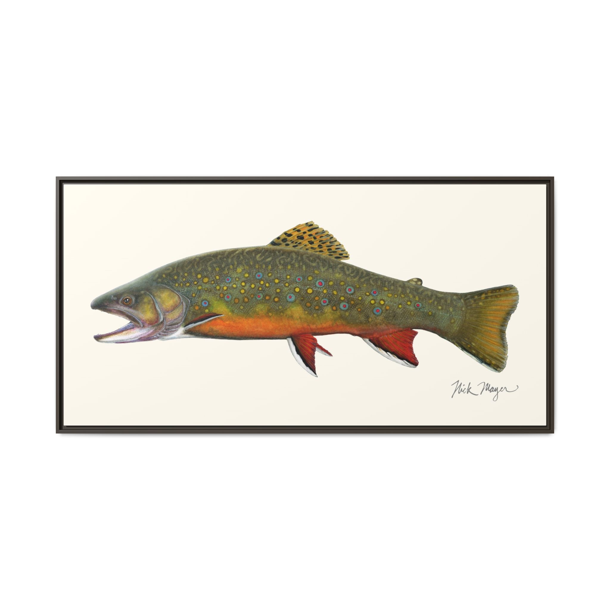 Beaver Pond Brook Trout Framed Canvas Print Printify