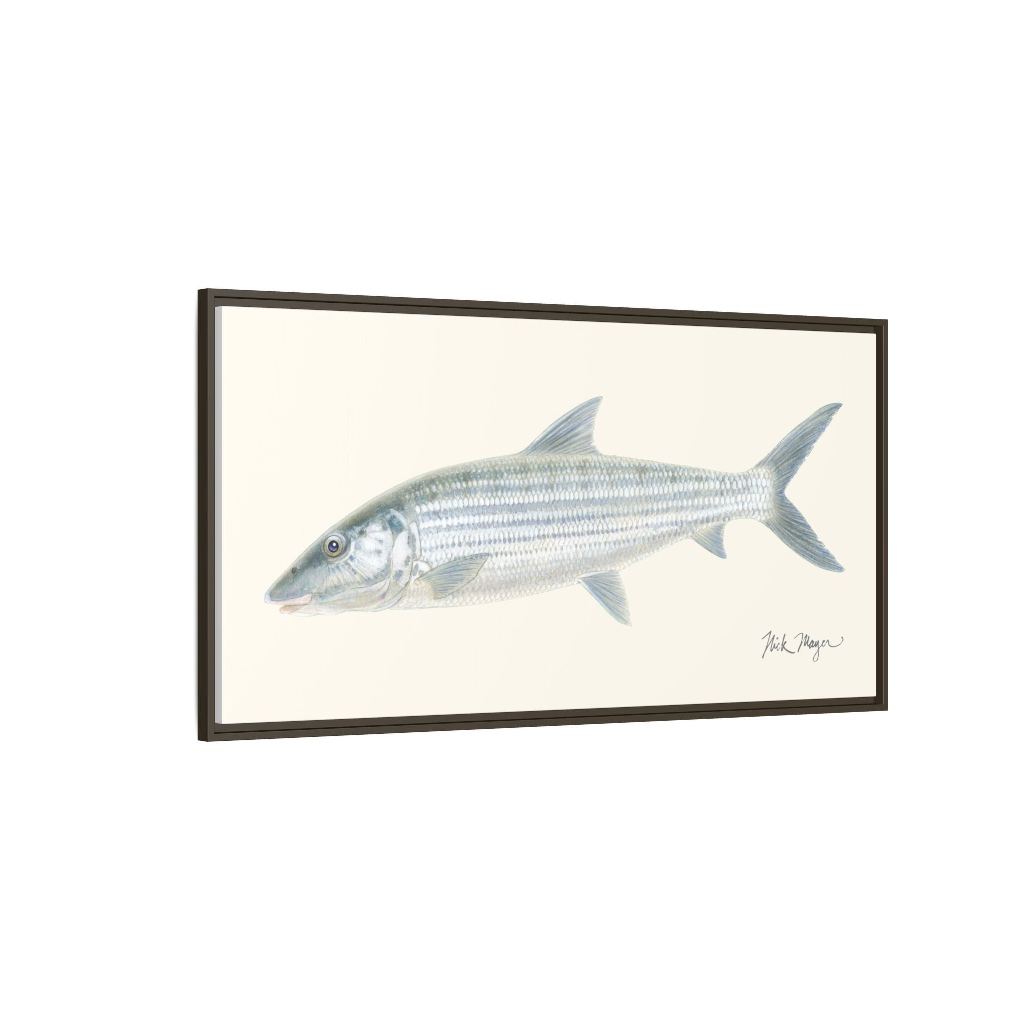 Bonefish Framed Canvas Print Printify