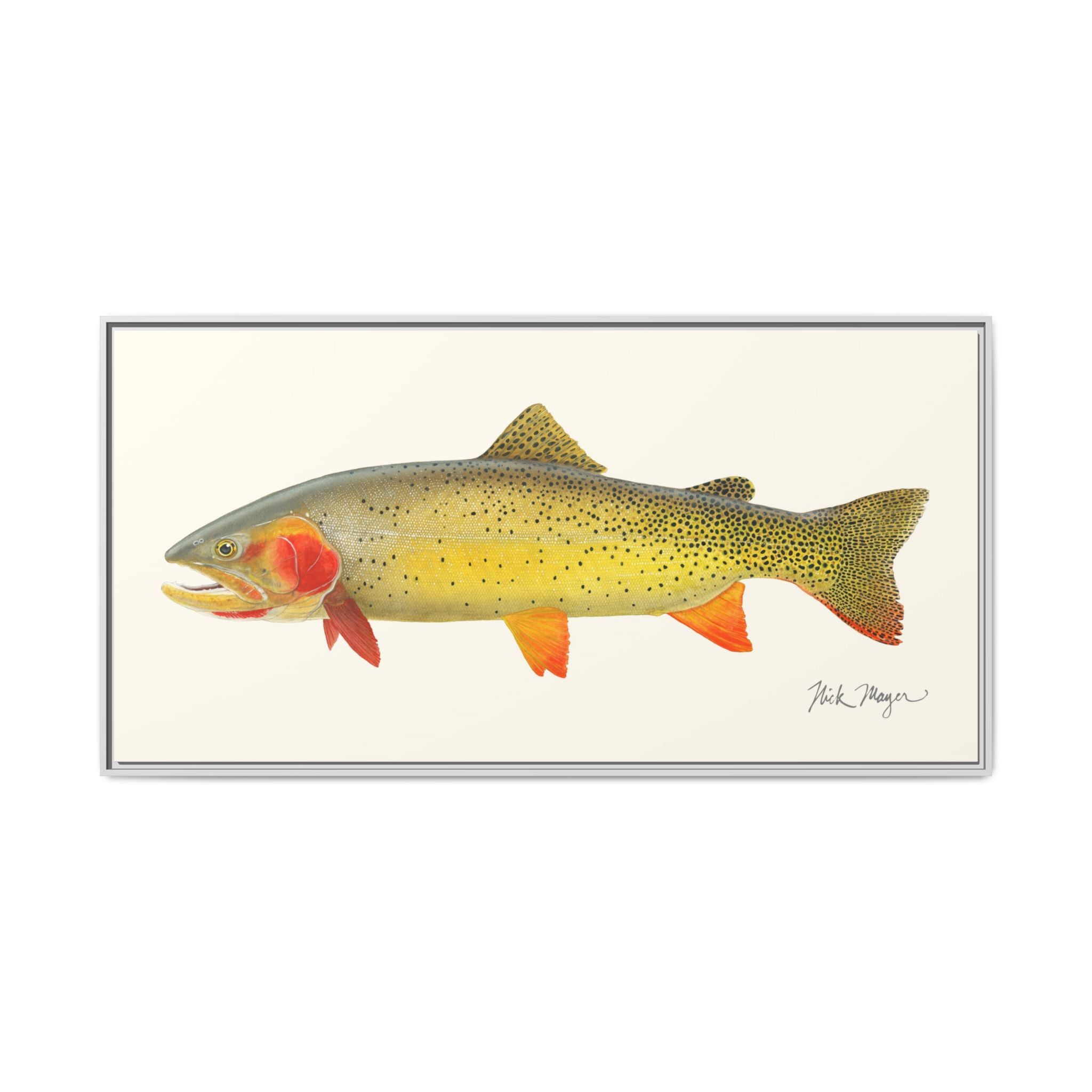 Cutthroat Trout I Framed Canvas Print Printify