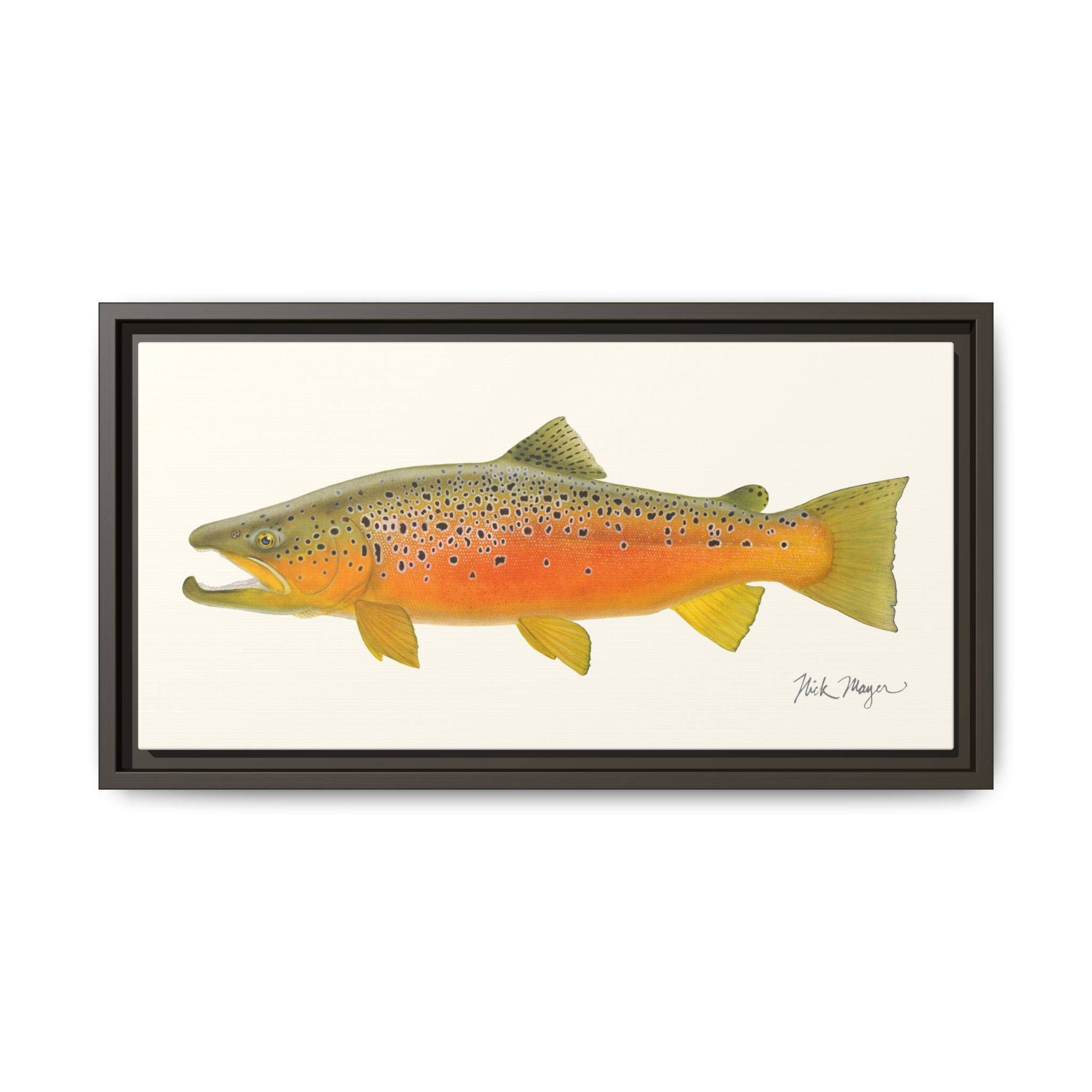 Brown Trout II Framed Canvas Print Printify