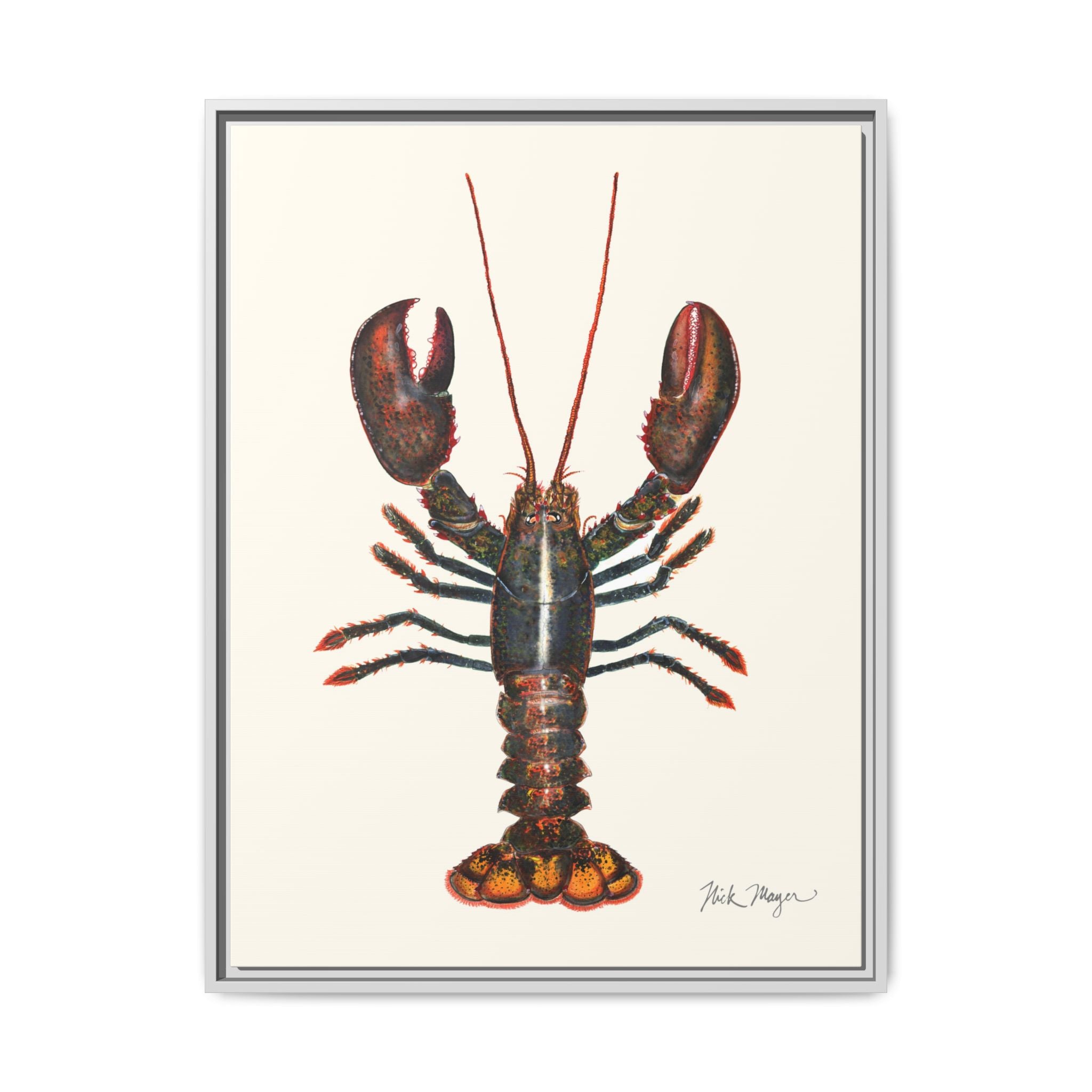 Northern Lobster Framed Canvas Print Printify