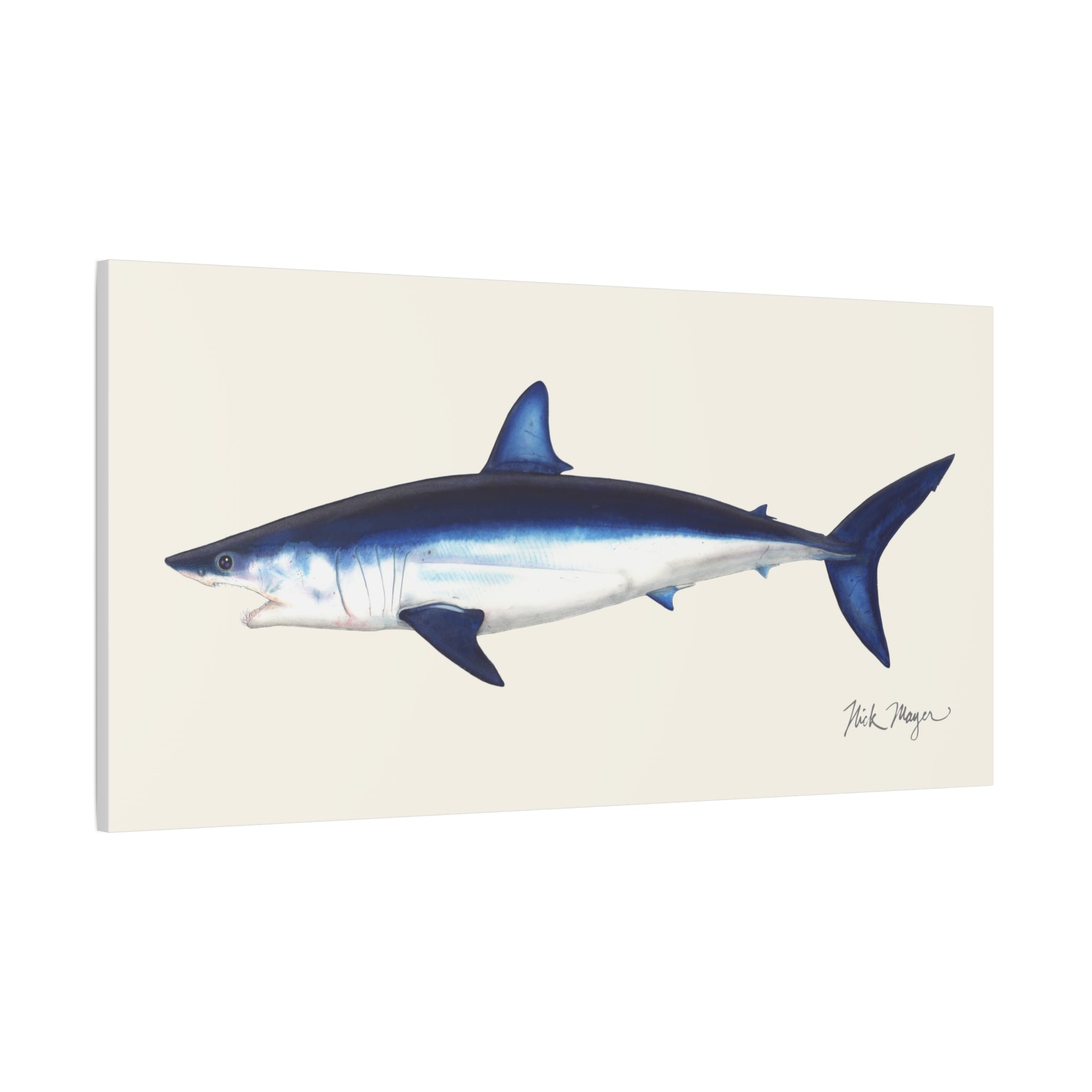Mako Shark Canvas Print, up to 30 x 60