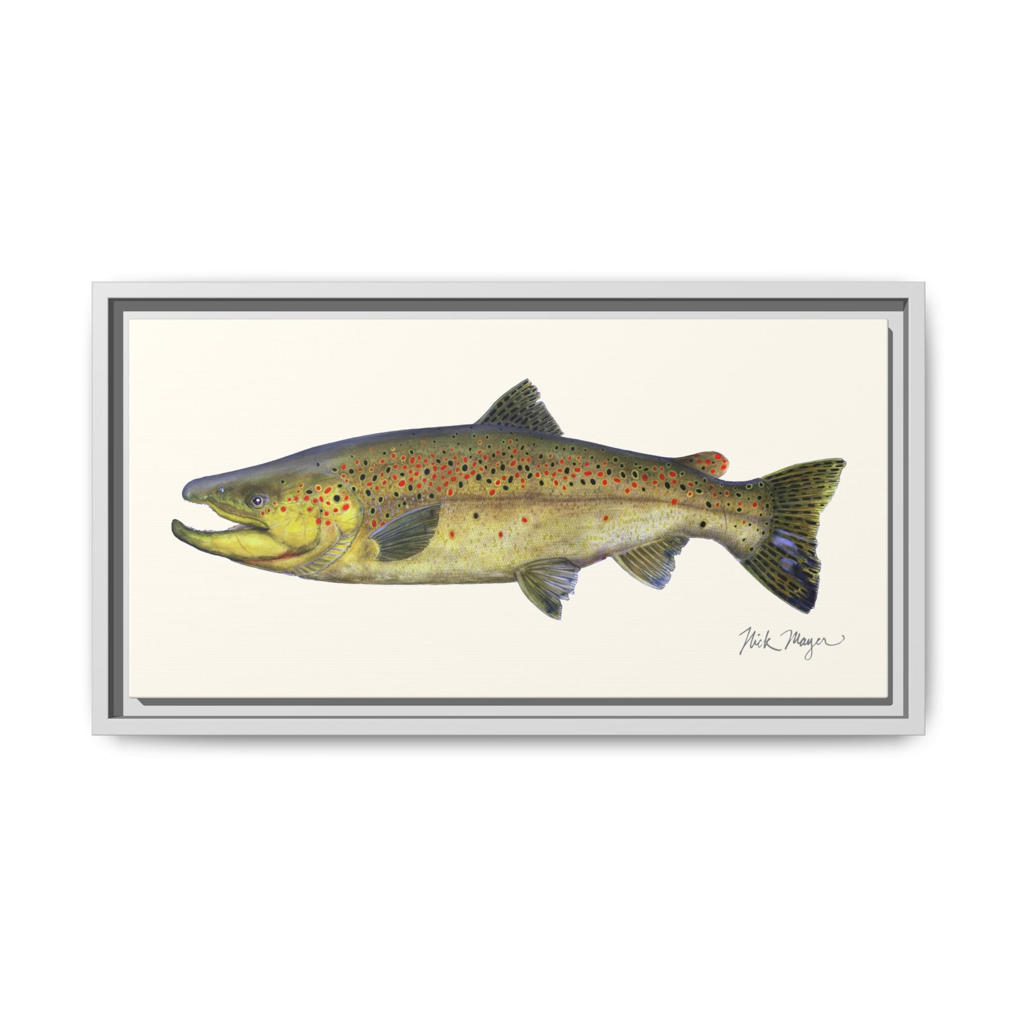 Brown Trout I Framed Canvas Print Printify