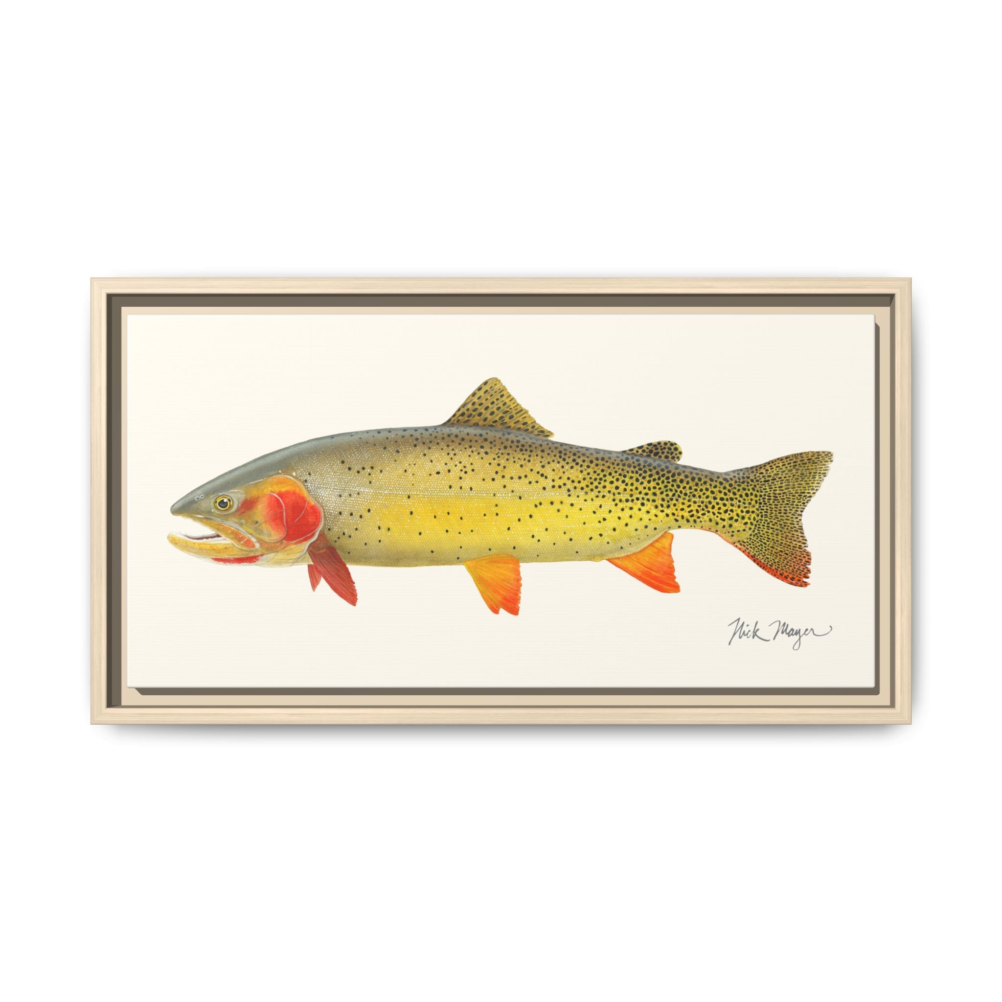 Cutthroat Trout I Framed Canvas Print Printify