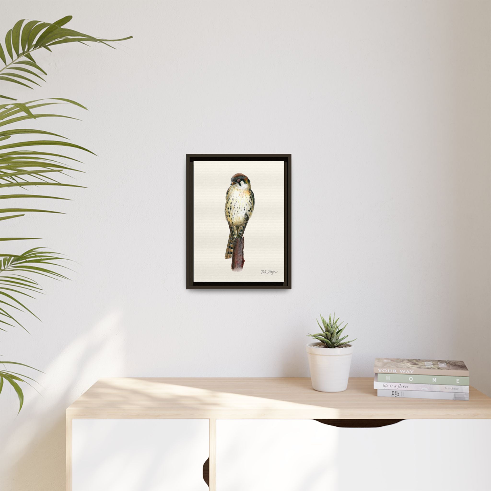 American Kestrel Framed Canvas Print Printify