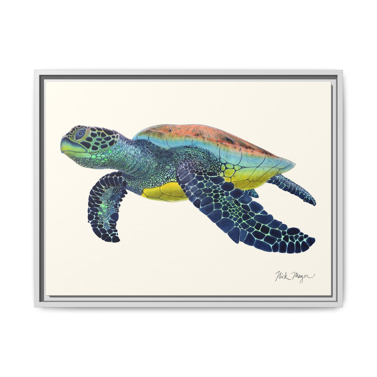 Green Sea Turtle II Framed Canvas Print Printify