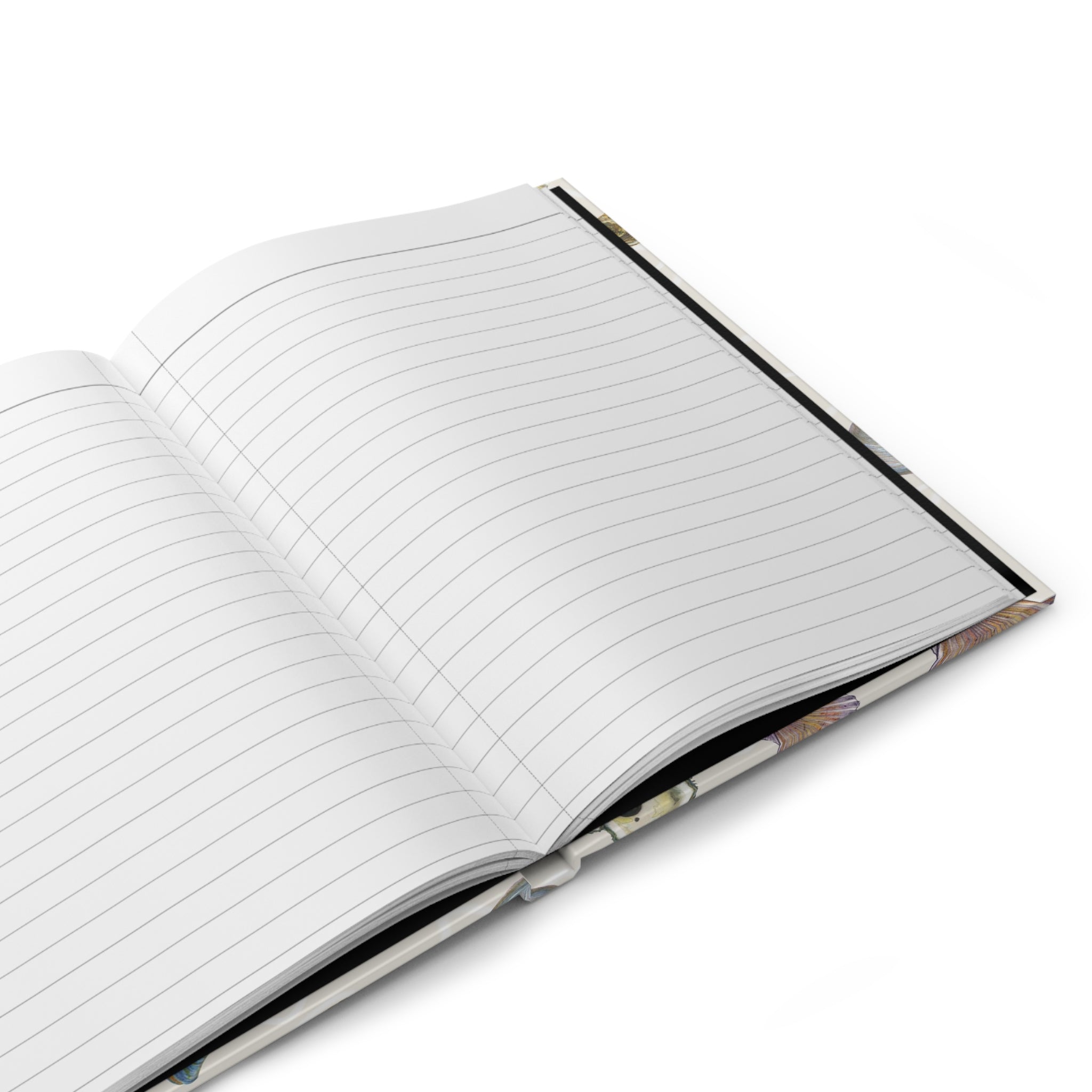 Seashells Hardcover Journal/ Notebook