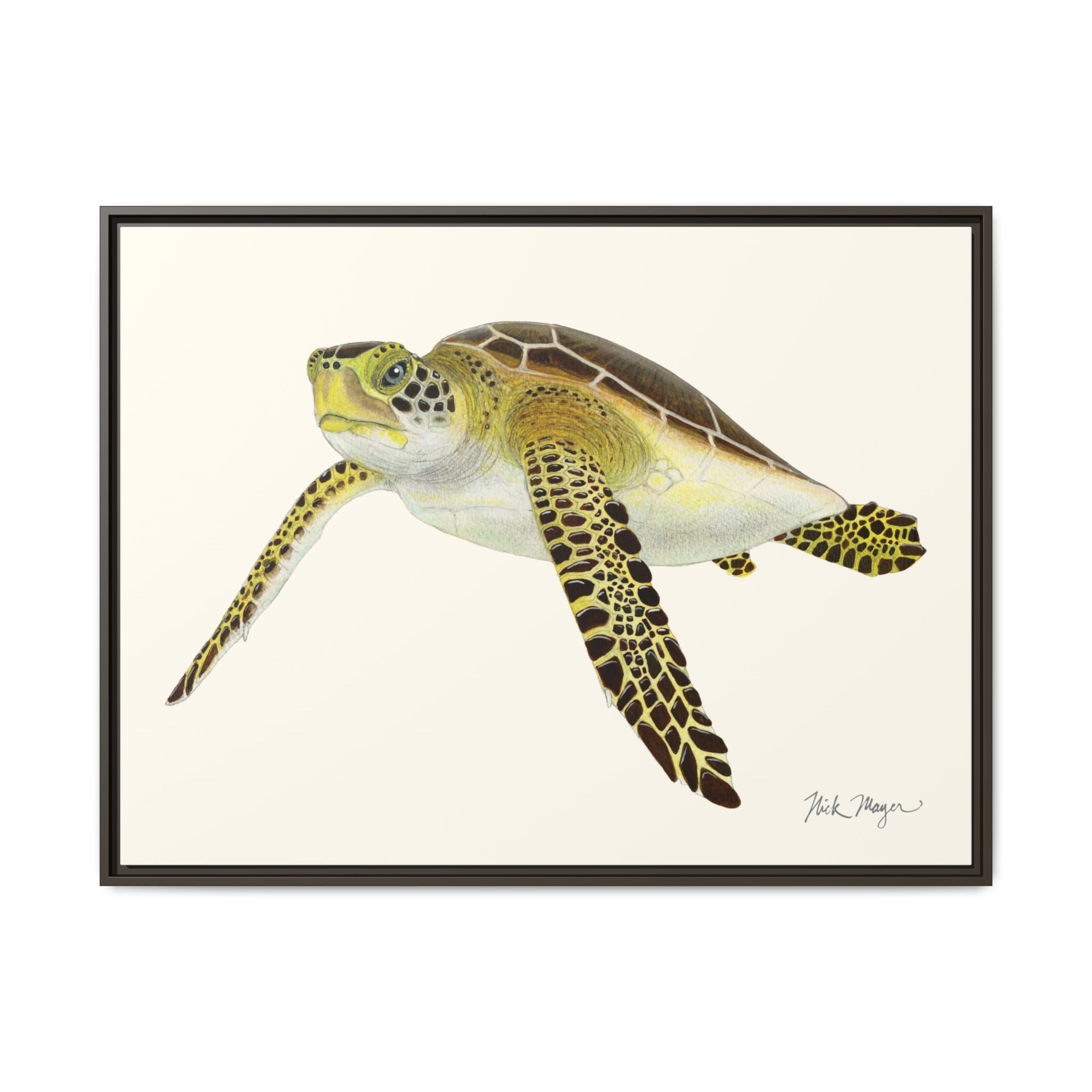 Green Sea Turtle III Framed Canvas Print Printify