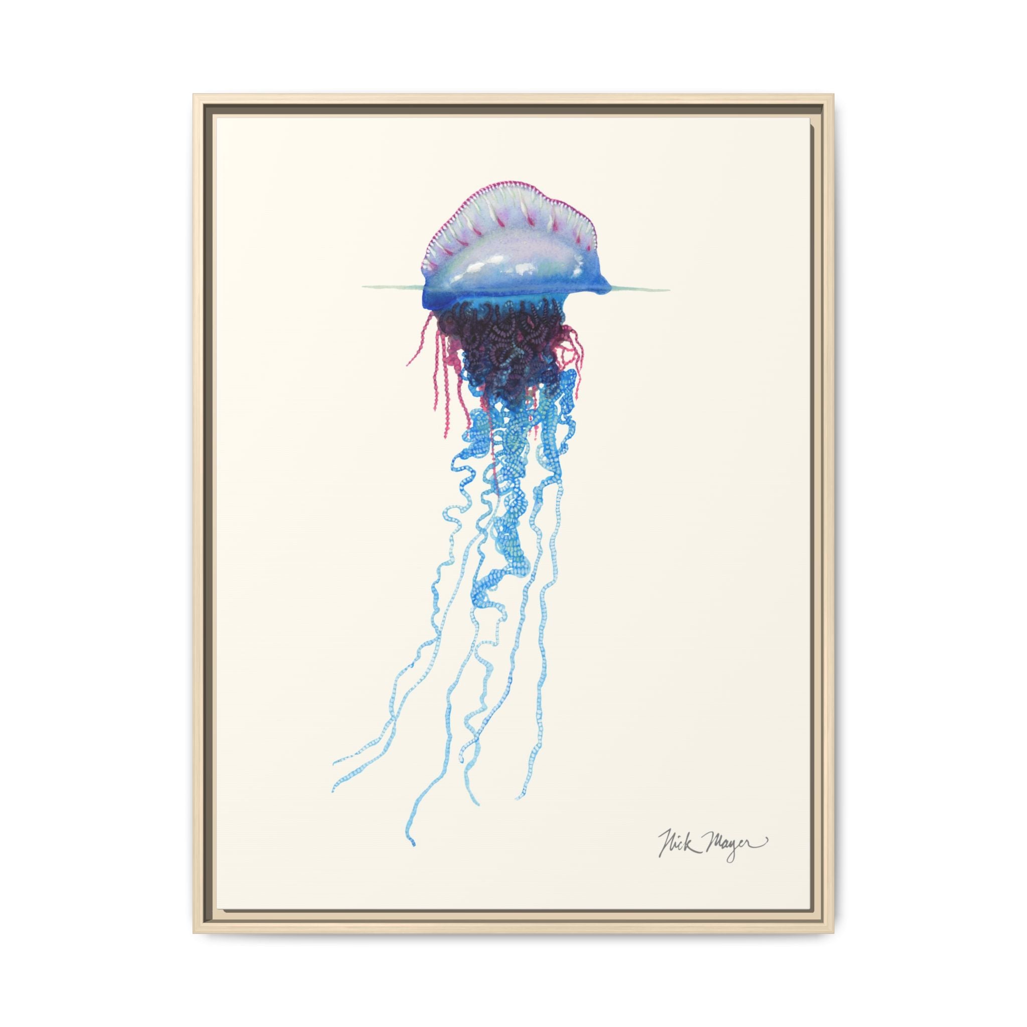Portuguese Man O' War Framed Canvas Print Printify