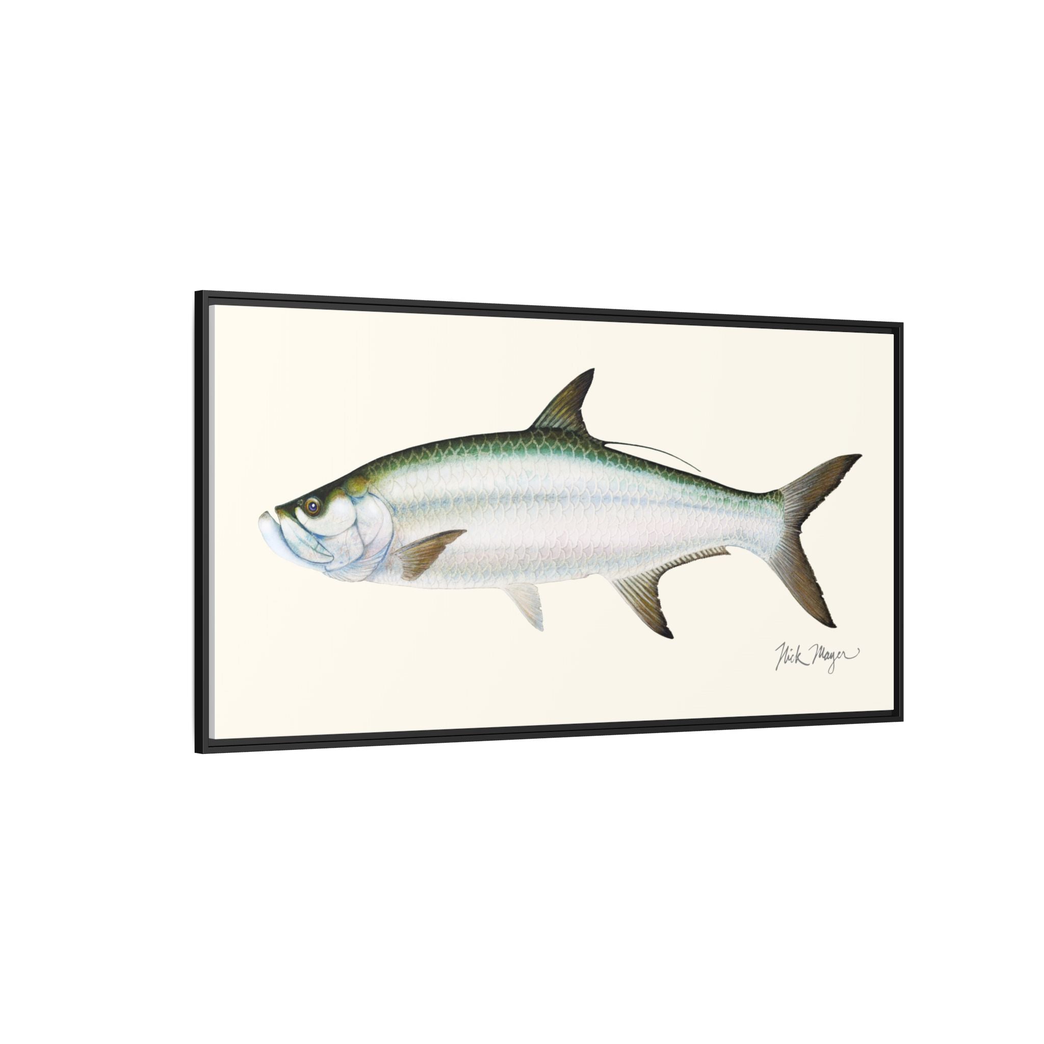 Tarpon Framed Canvas Print Printify