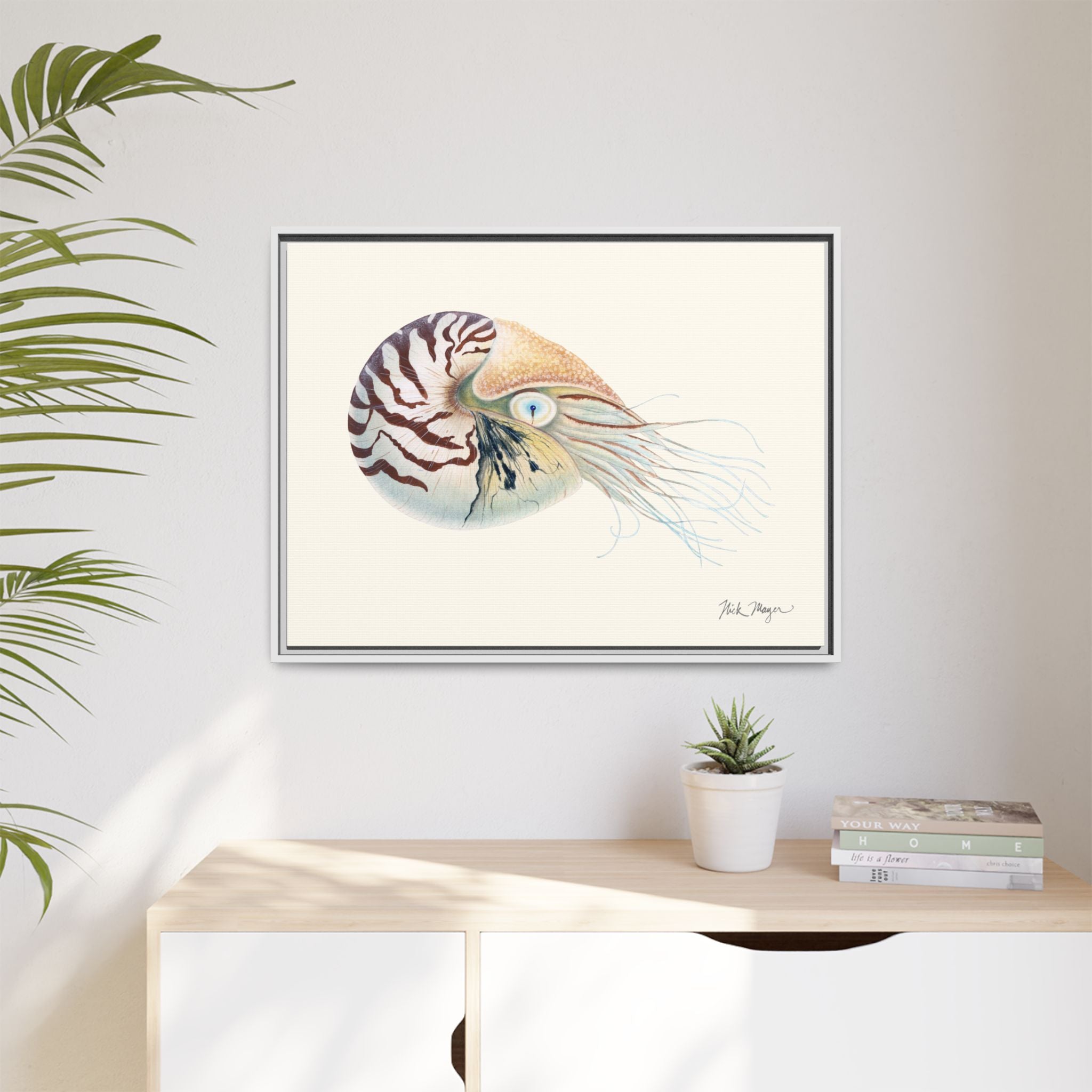 Chambered Nautilus Framed Canvas Print Printify