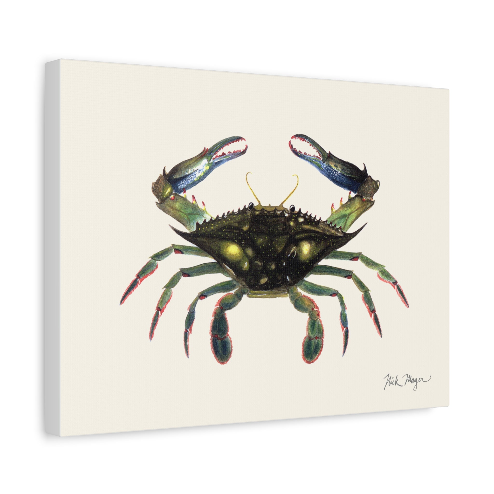 Blue Crab Claws In Canvas Print