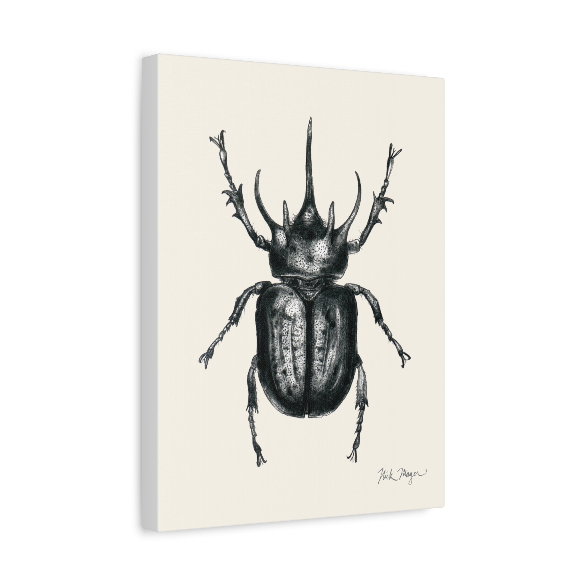 Rhinoceros Beetle Canvas Print