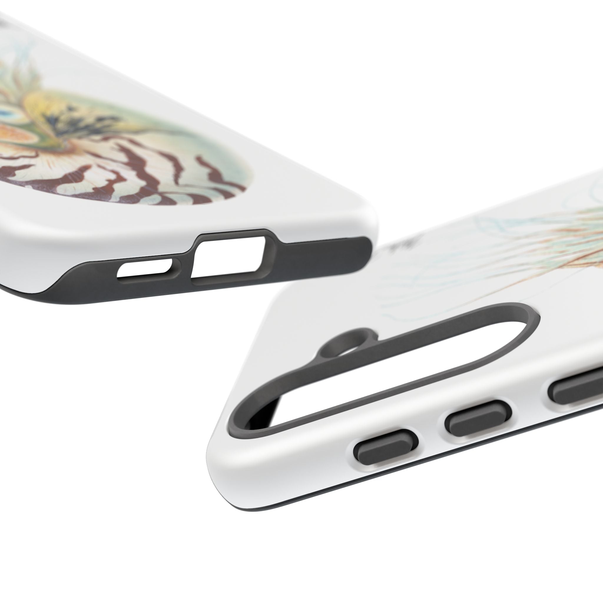 Chambered Nautilus Phone Case (Samsung) Printify