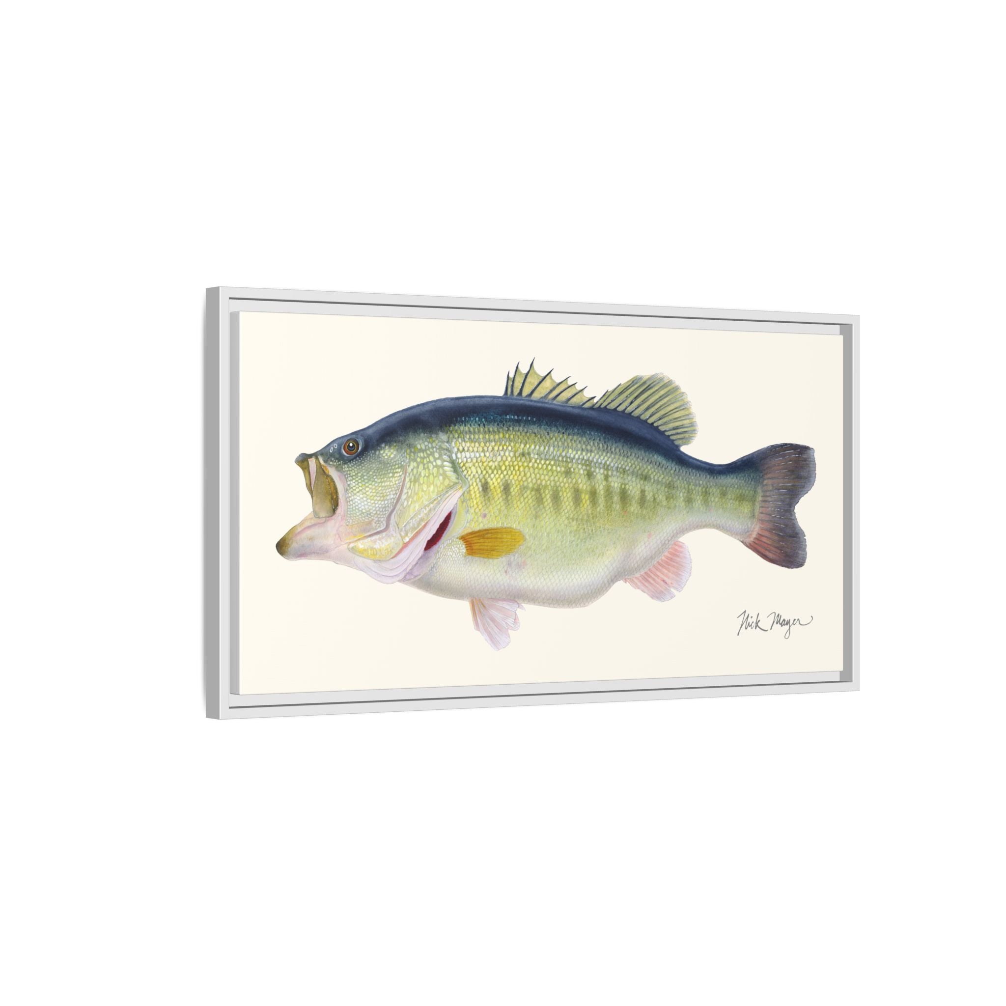 Largemouth Bass 3 Framed Canvas Print