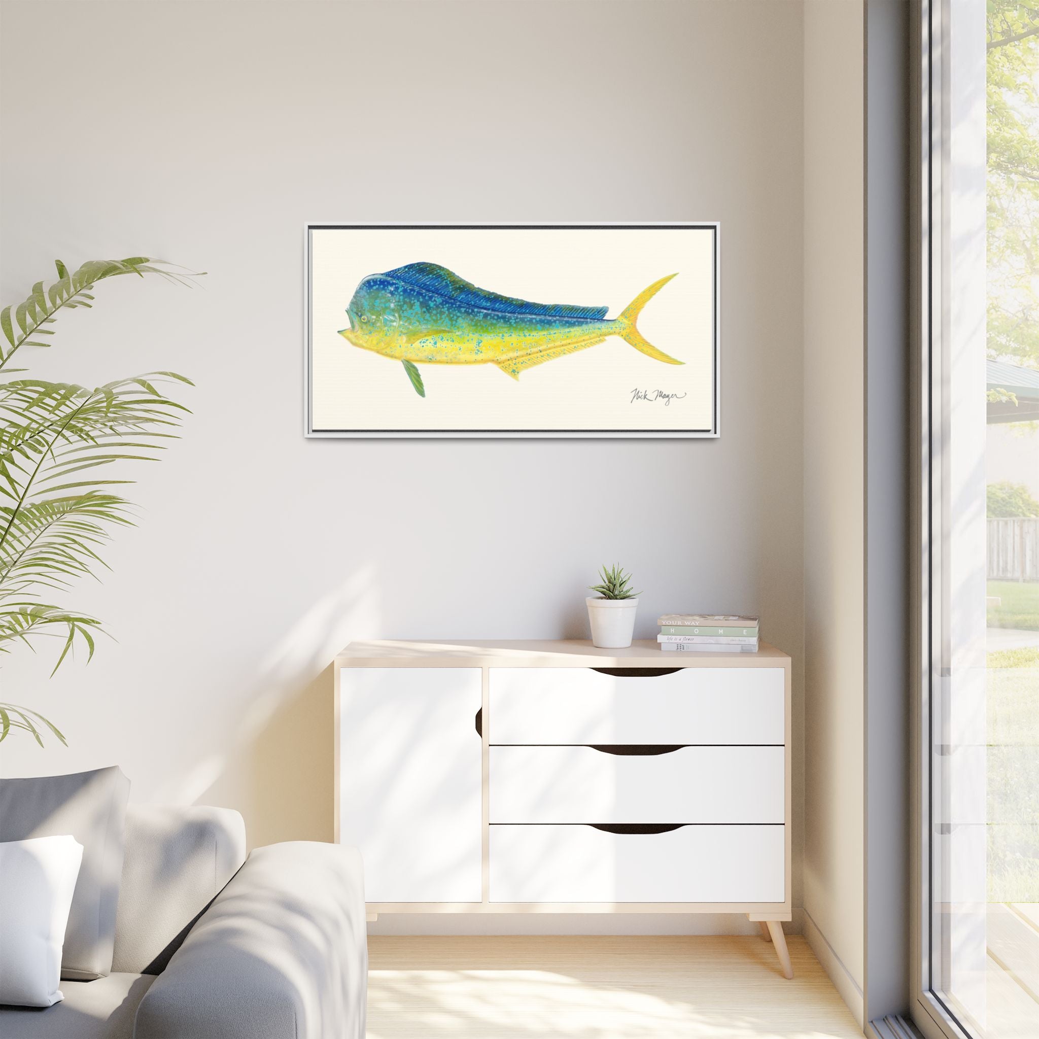 Bull Mahi Mahi Framed Canvas Print