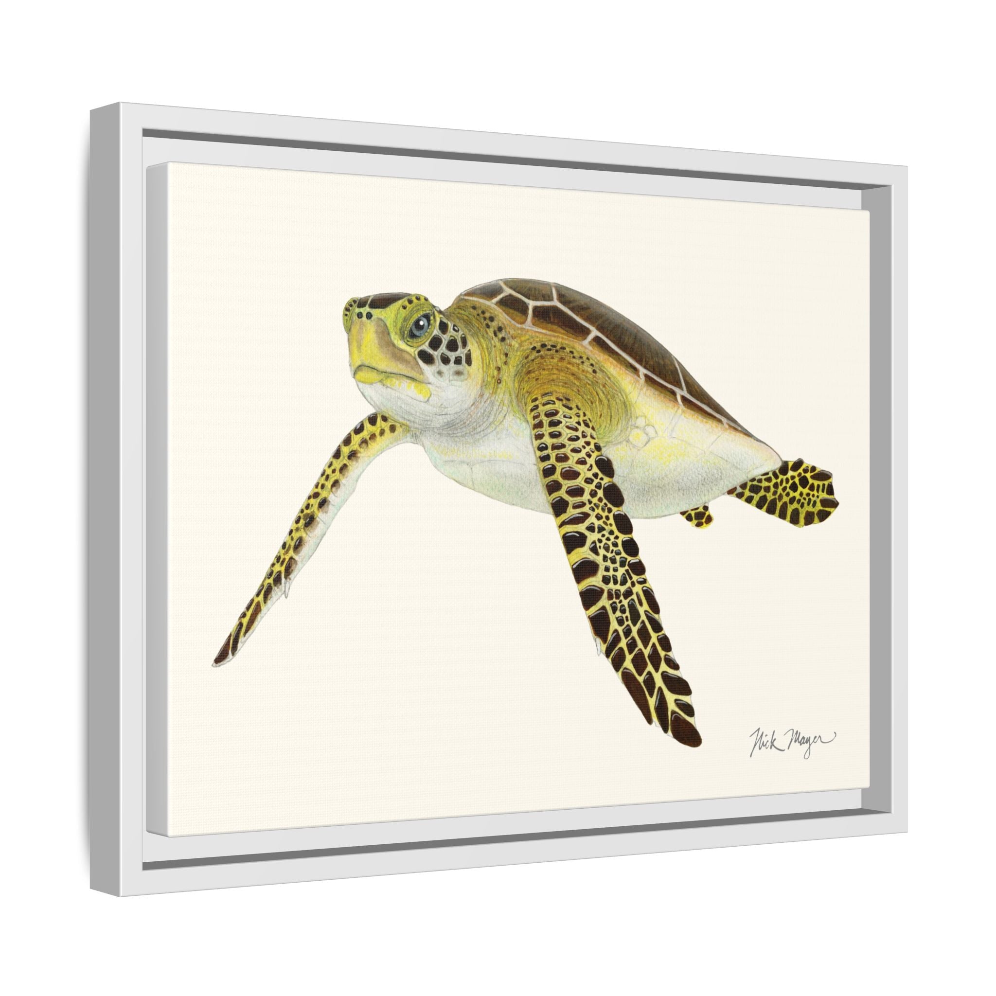 Green Sea Turtle III Framed Canvas Print Printify