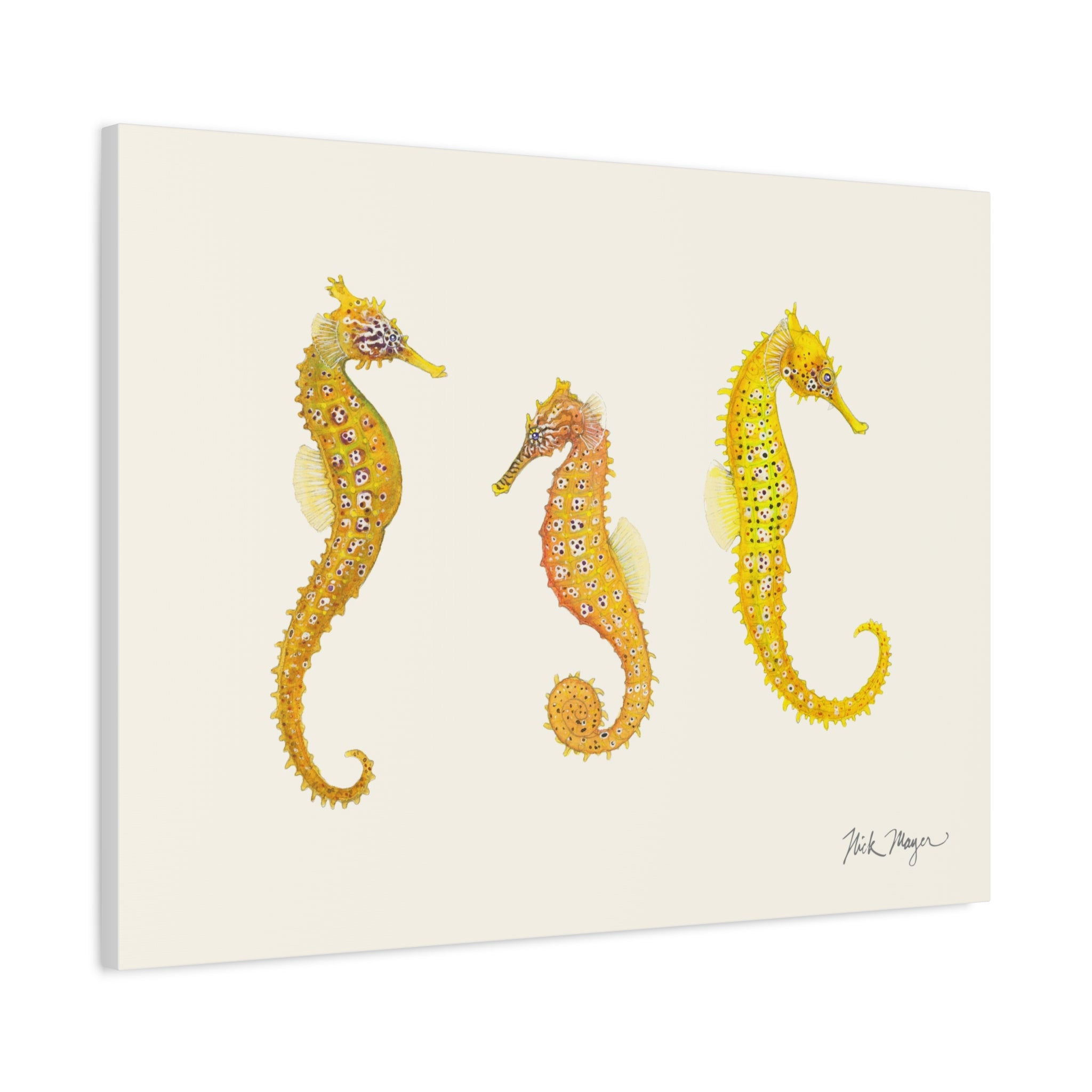 Giant Seahorse Trio Canvas Print