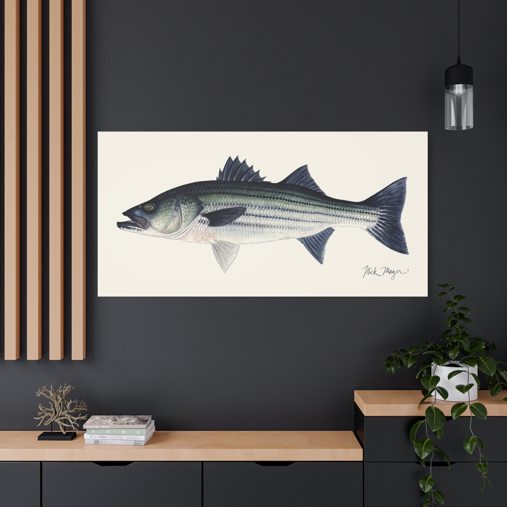 Schoolie Striped Bass I Canvas Print