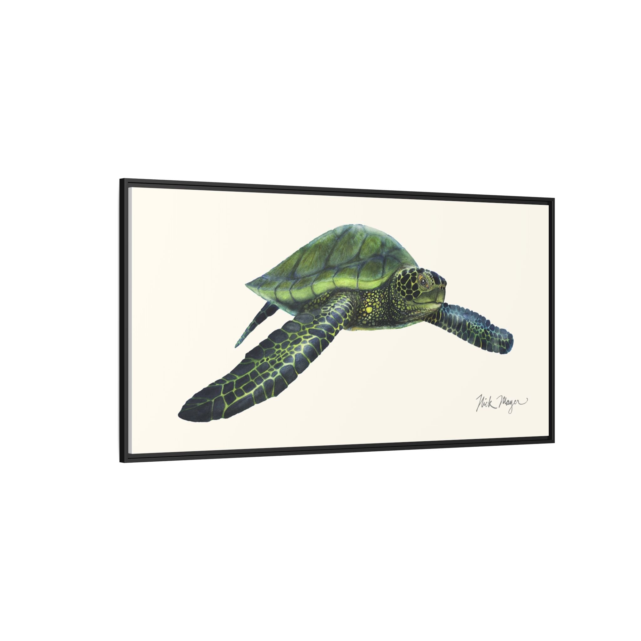 Green Sea Turtle I Framed Canvas Print Printify
