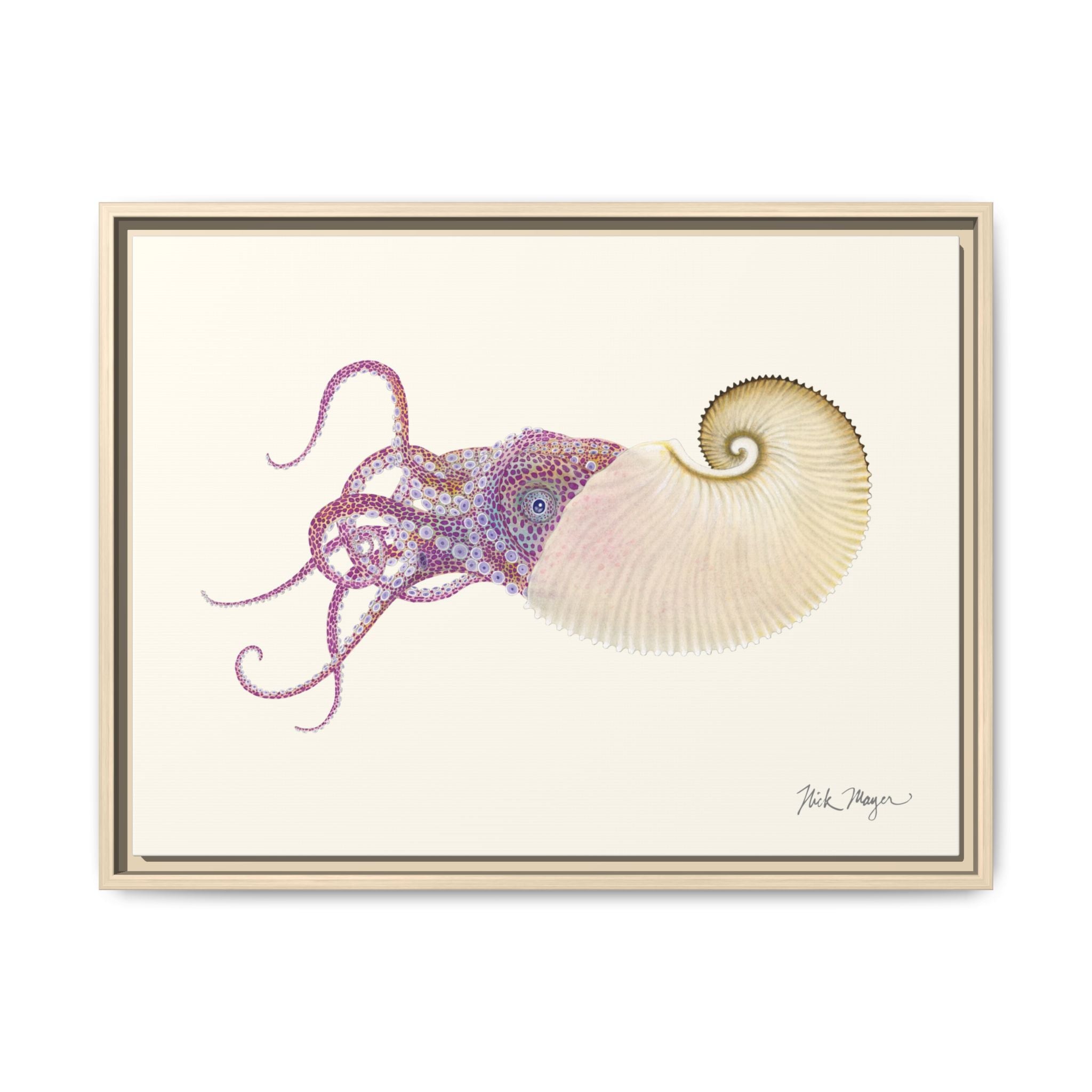 Paper Nautilus Framed Canvas Print Printify