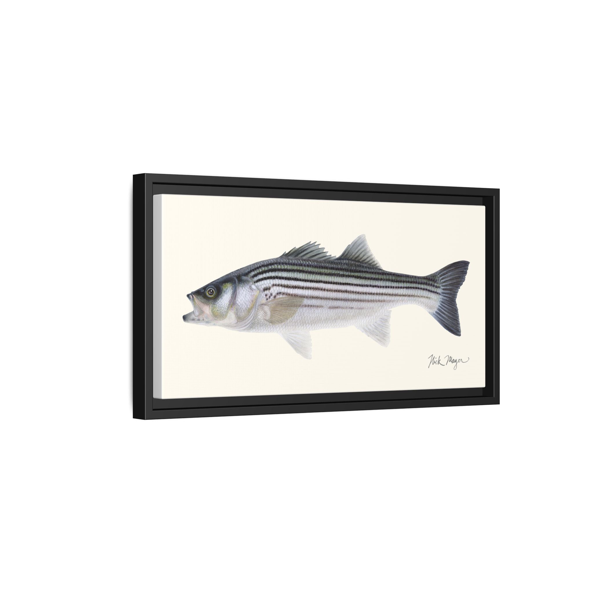 Schoolie Striped Bass Framed Canvas Print Printify