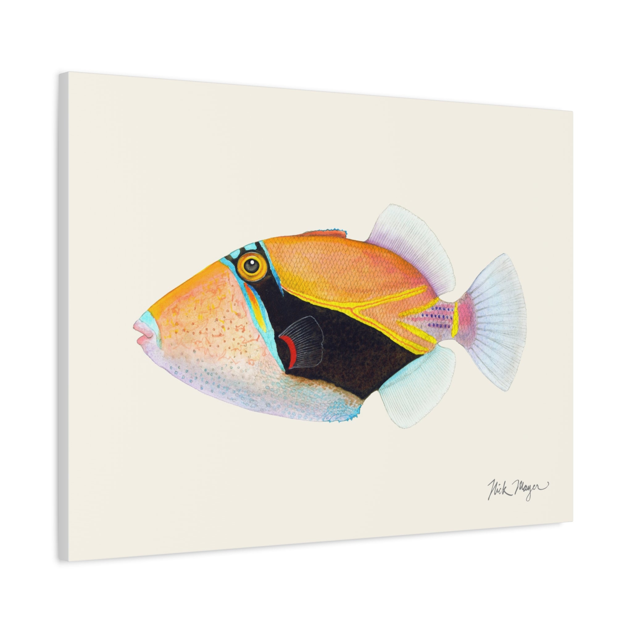 Humuhumunukunukuapua'a Canvas Print