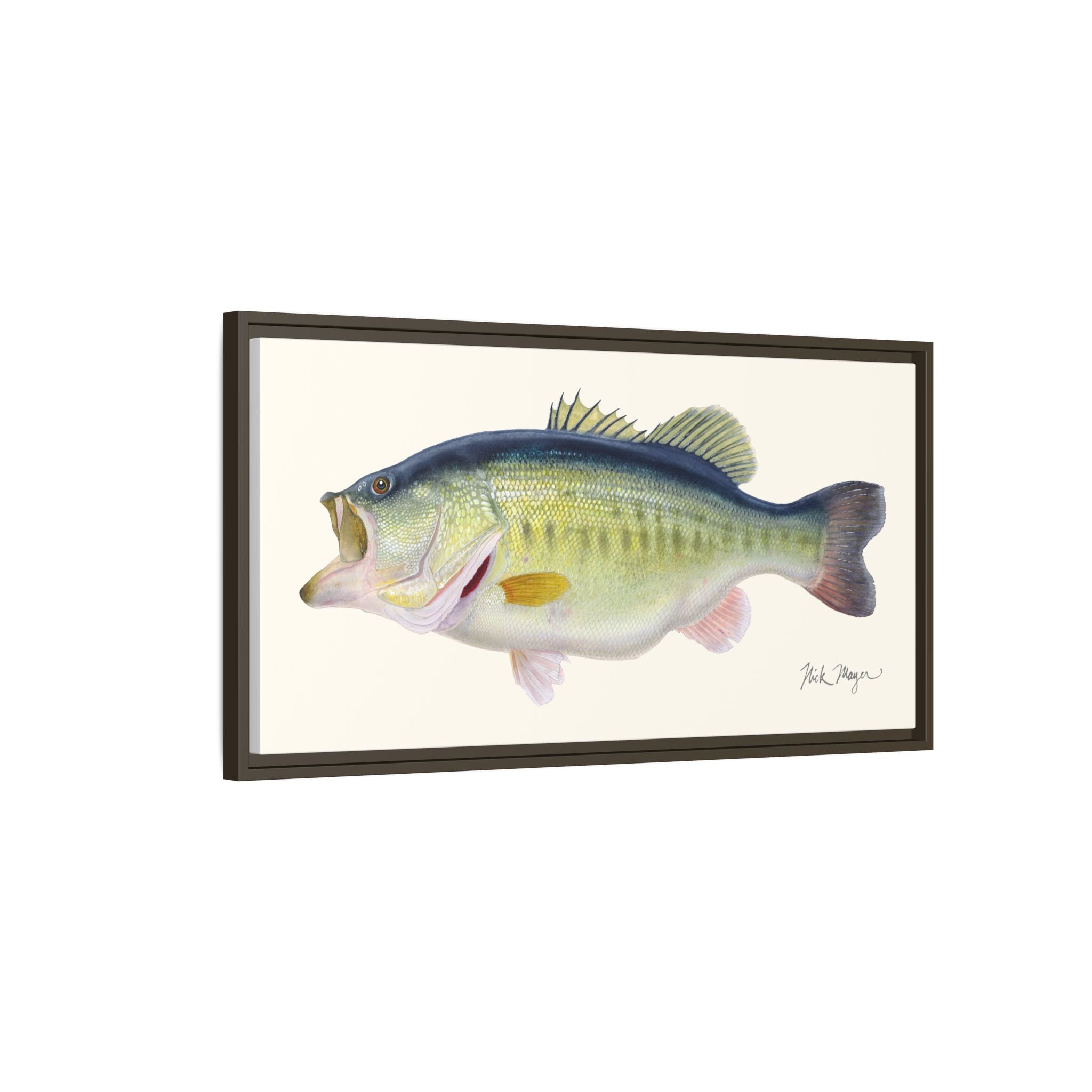 Largemouth Bass 3 Framed Canvas Print