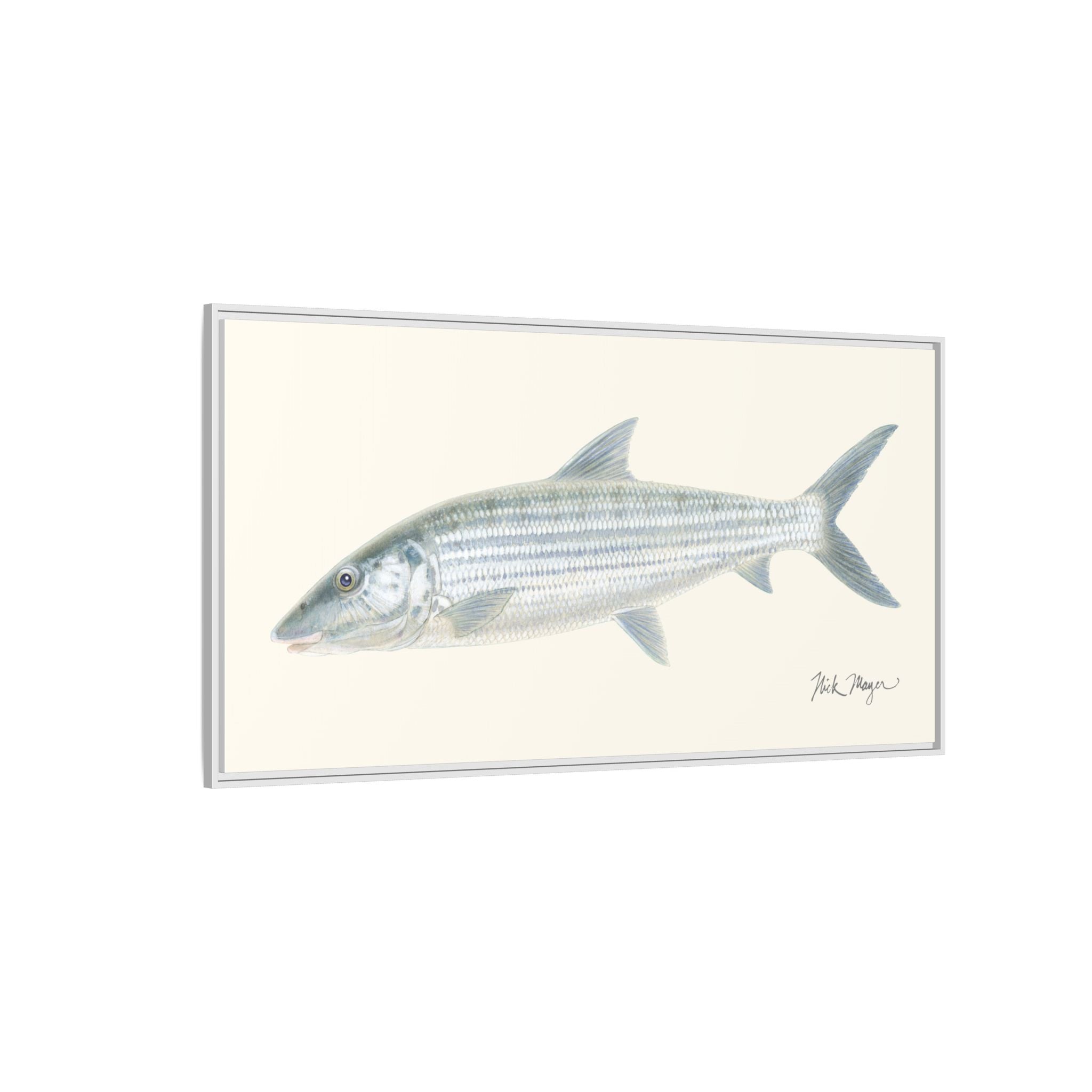 Bonefish Framed Canvas Print Printify
