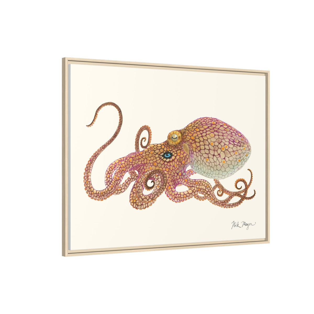 Two Spot Octopus Framed Canvas Print Printify