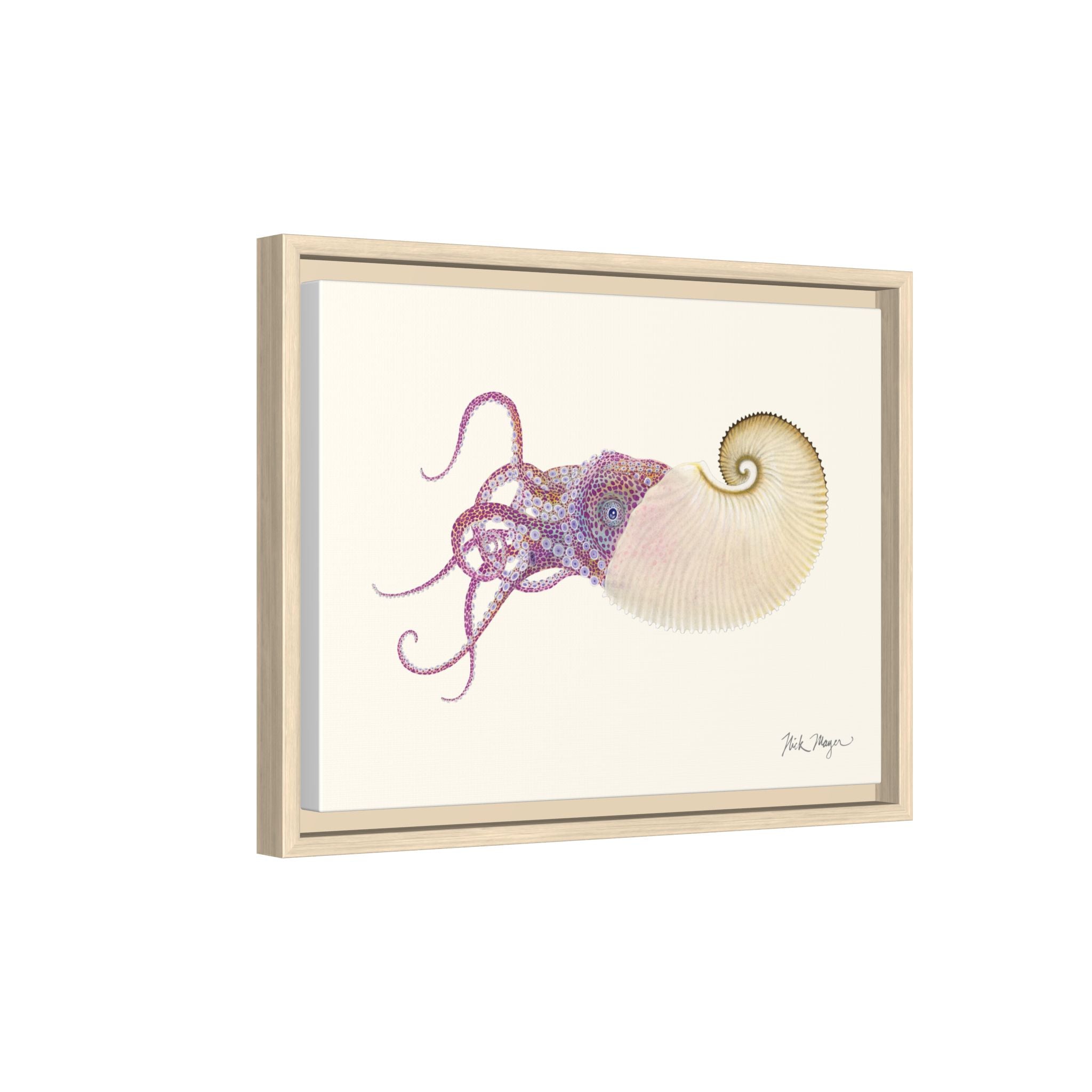 Paper Nautilus Framed Canvas Print Printify