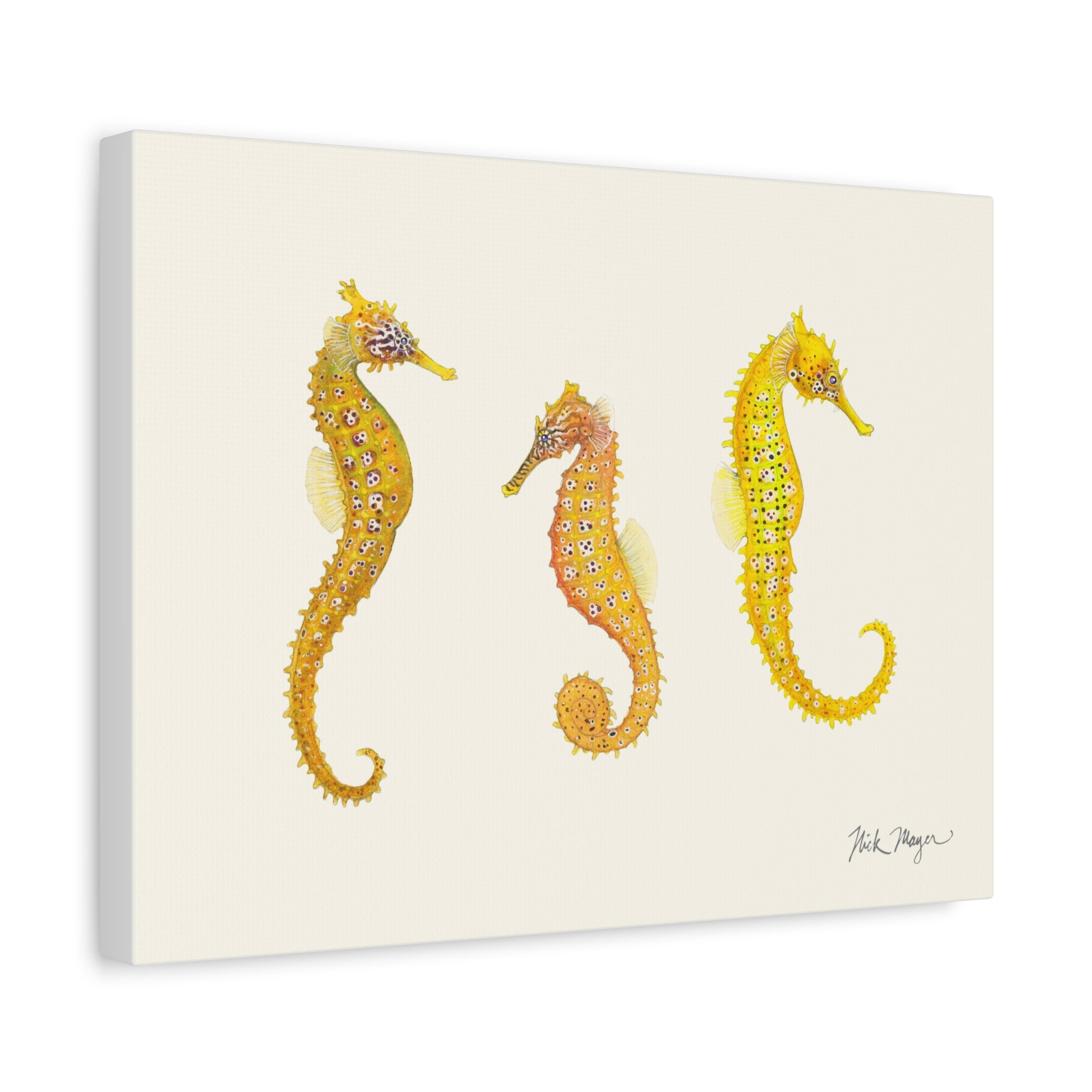 Giant Seahorse Trio Canvas Print