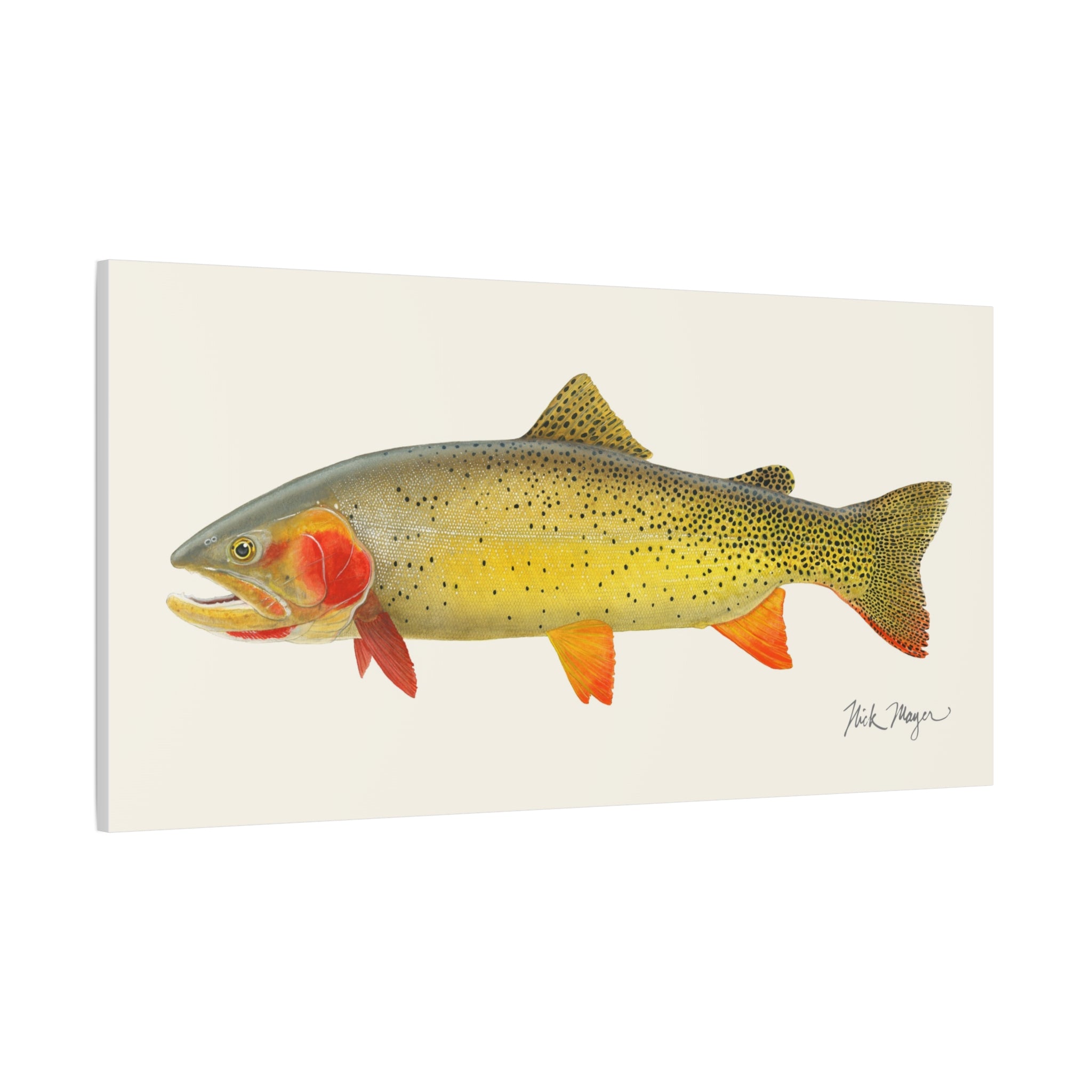 Cutthroat Trout I Canvas Print Printify