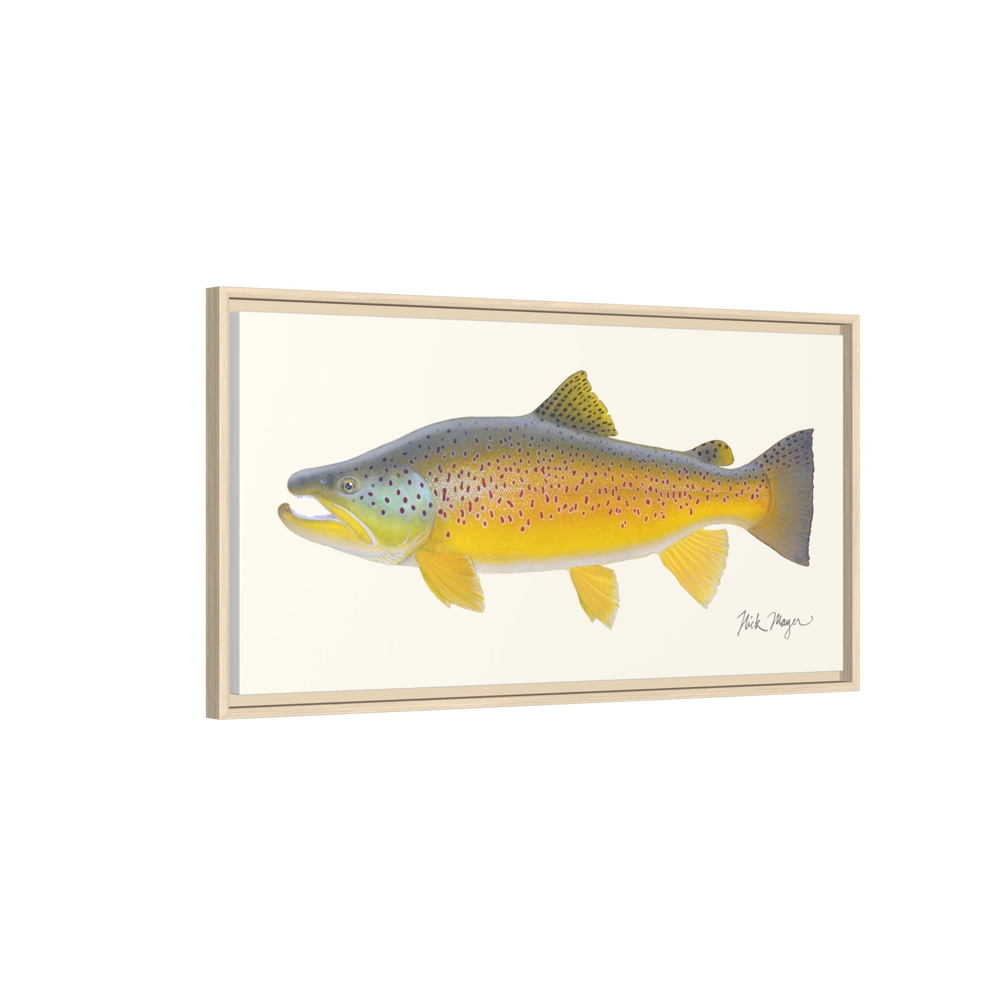Brown Trout III Framed Canvas Print Printify
