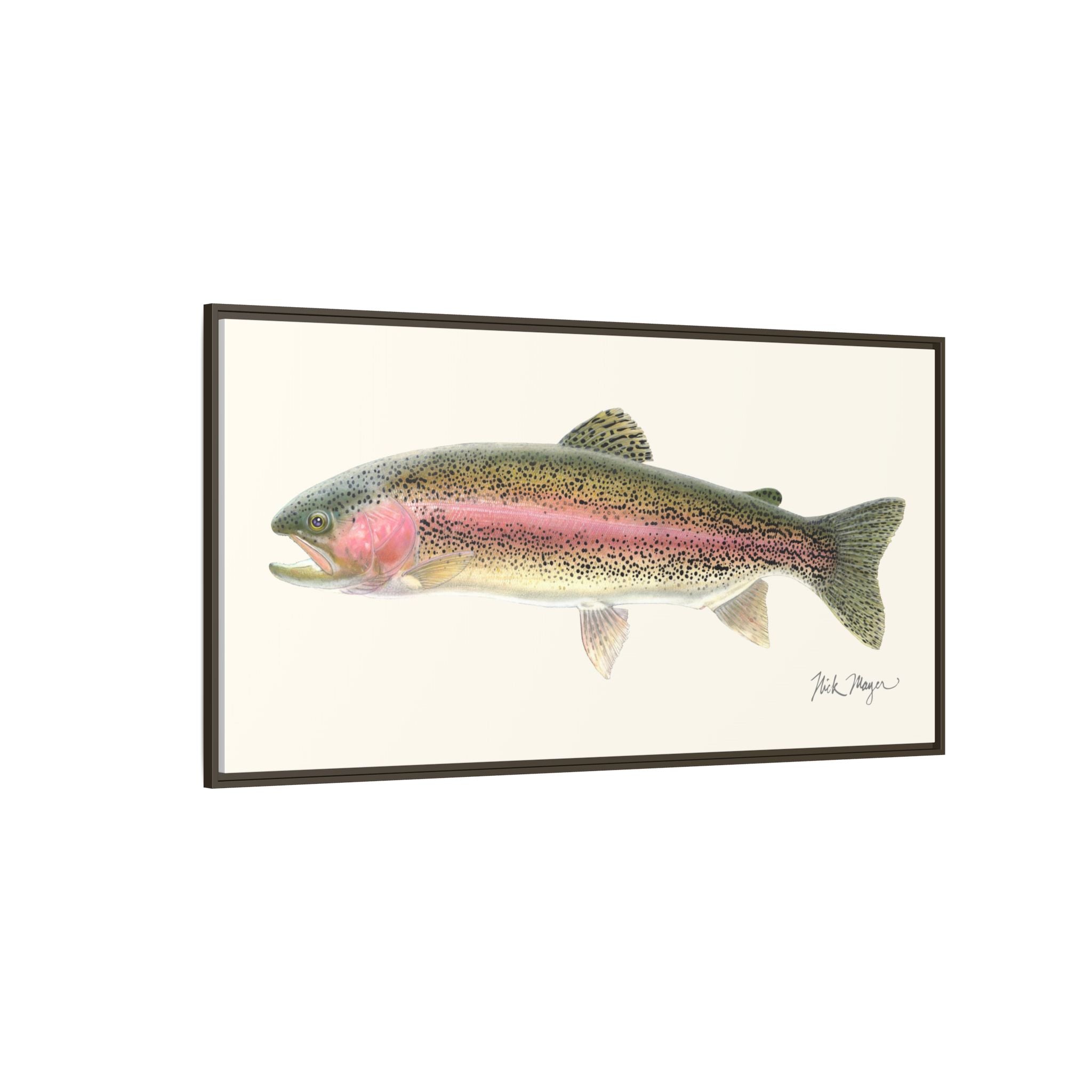 Rainbow Trout Framed Canvas Print Printify