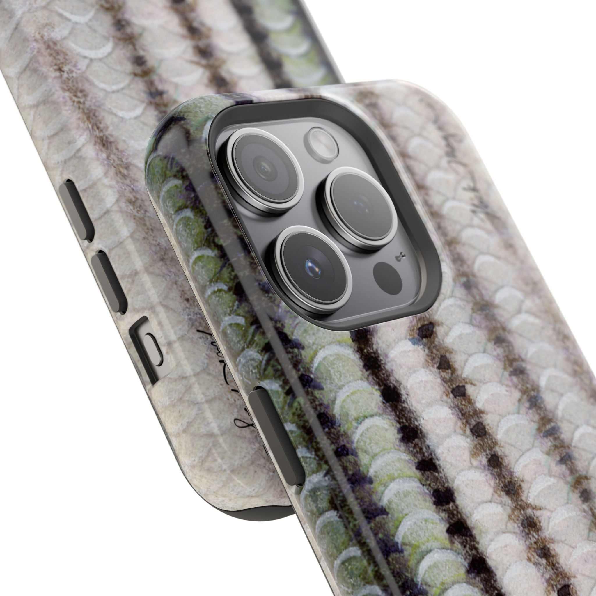 Striper Skin MagSafe iPhone Case