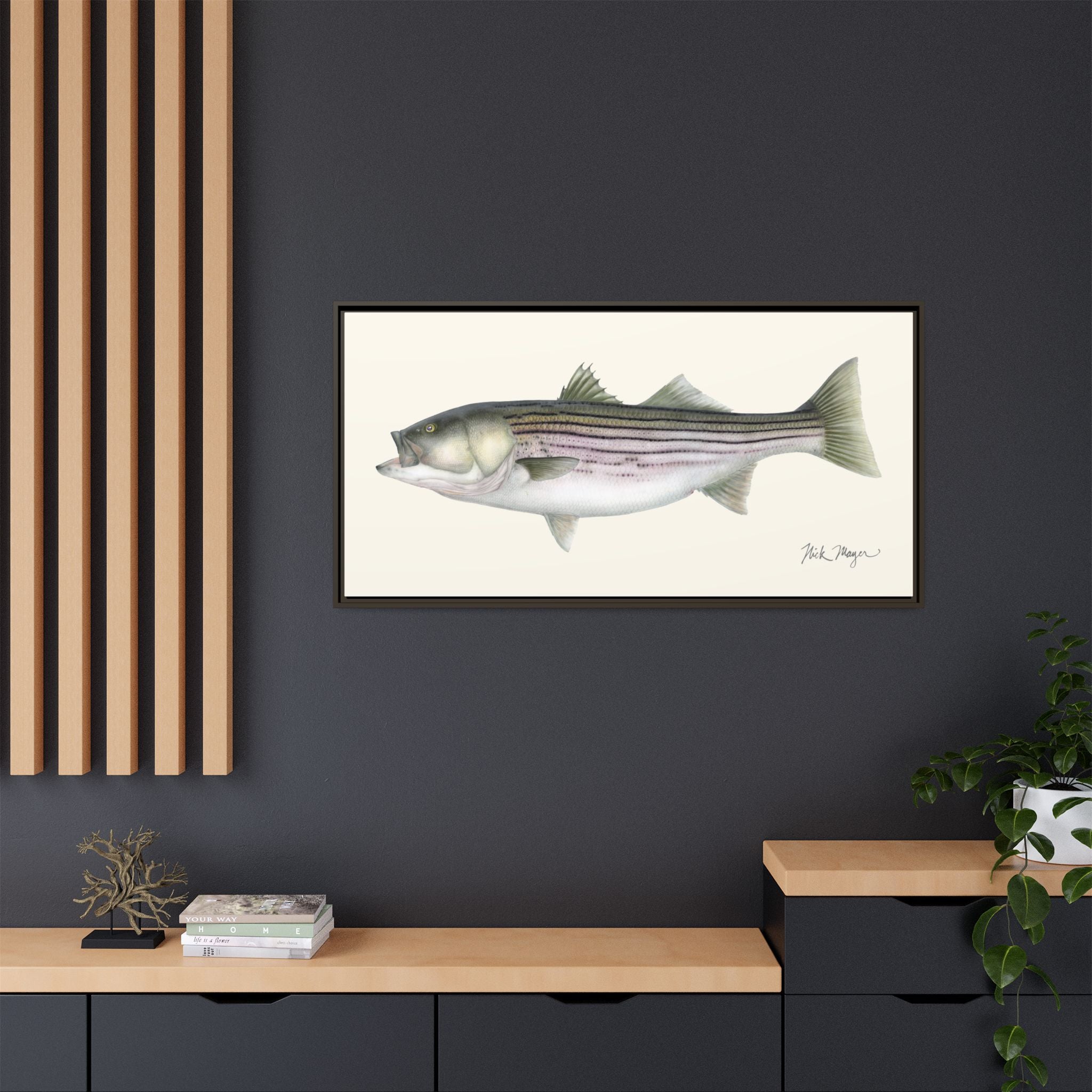 Striped Bass, 30 lbs Framed Canvas Print Printify
