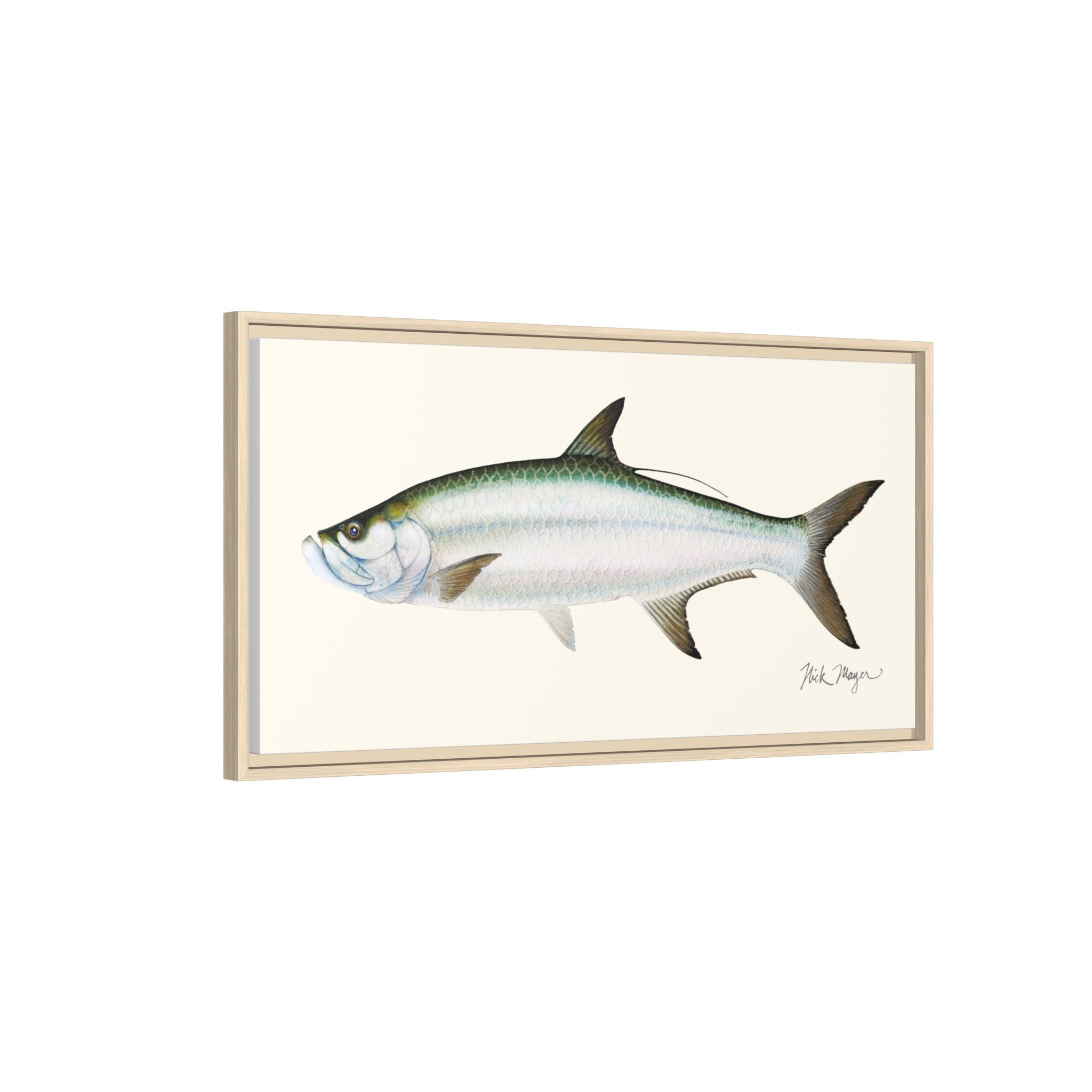Tarpon Framed Canvas Print Printify