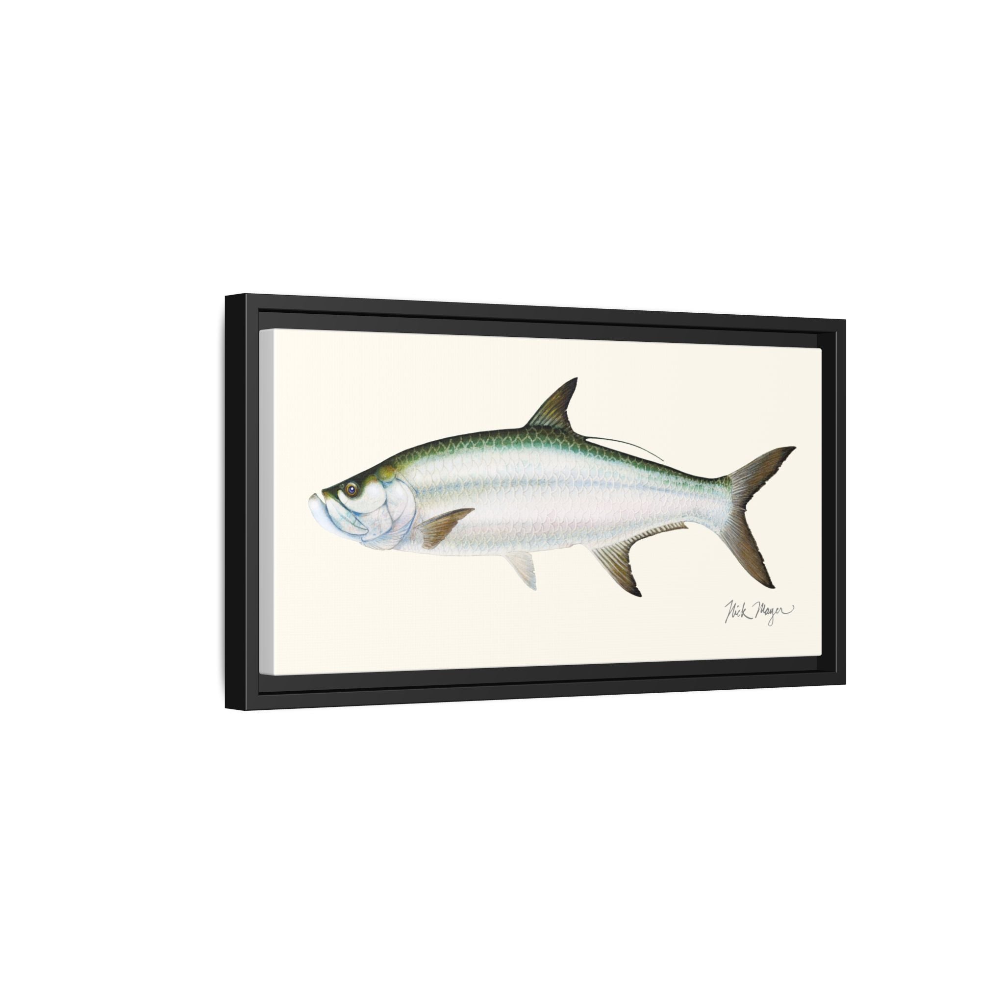 Tarpon Framed Canvas Print Printify