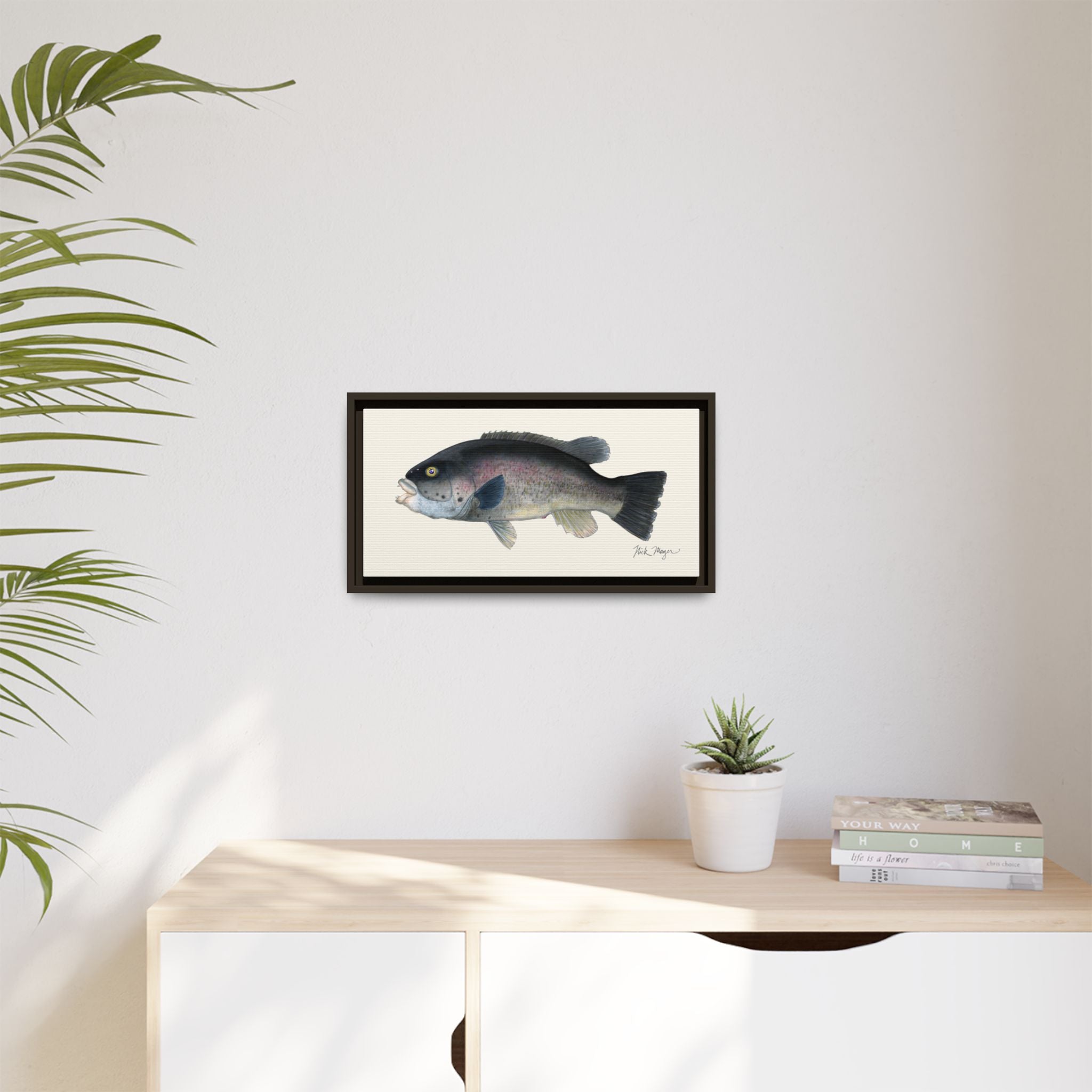 Tautog / Blackfish Framed Canvas Print Printify