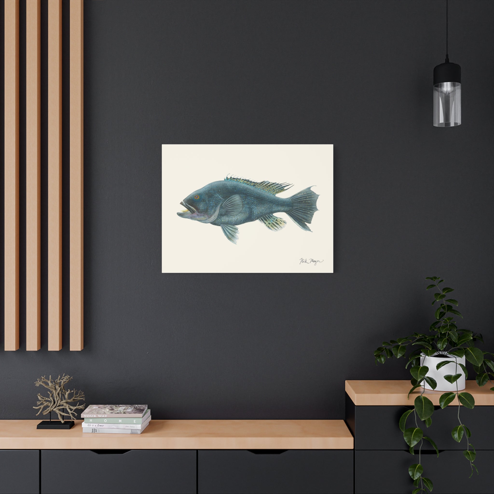 Black Sea Bass Canvas Print