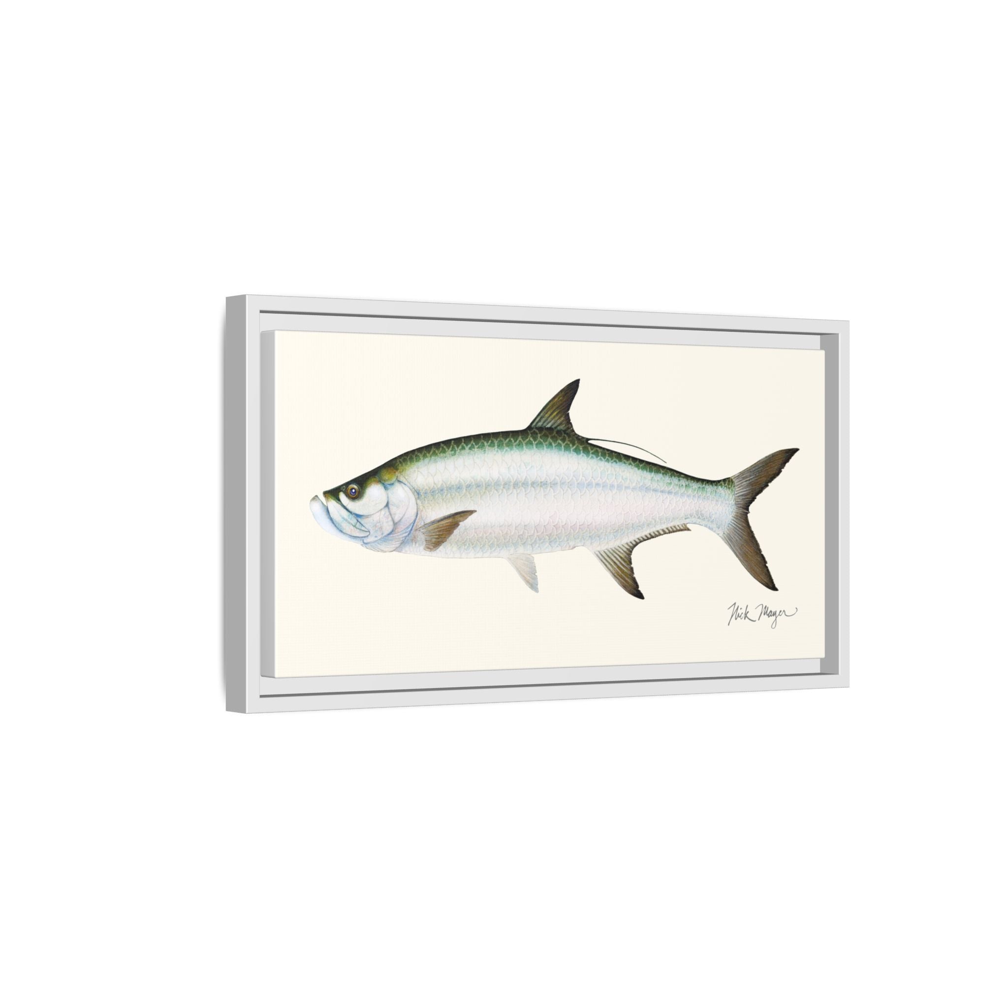 Tarpon Framed Canvas Print Printify