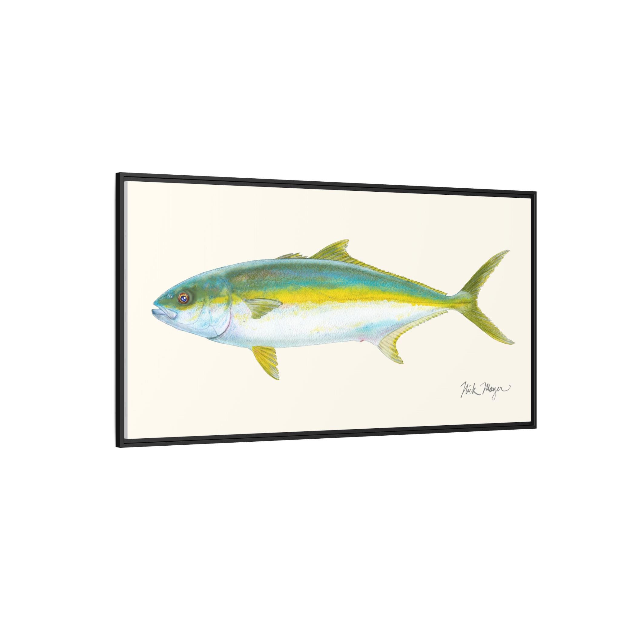 California Yellowtail I Framed Canvas Print Printify