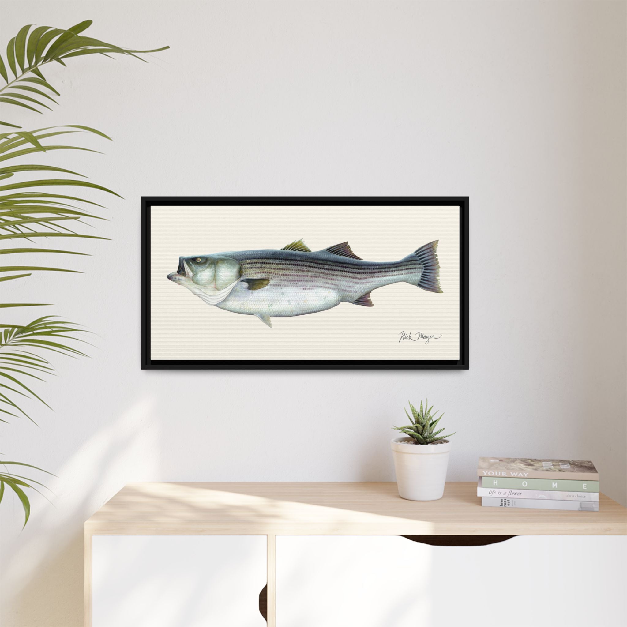 Striped Bass, 60 lbs Framed Canvas Print Printify
