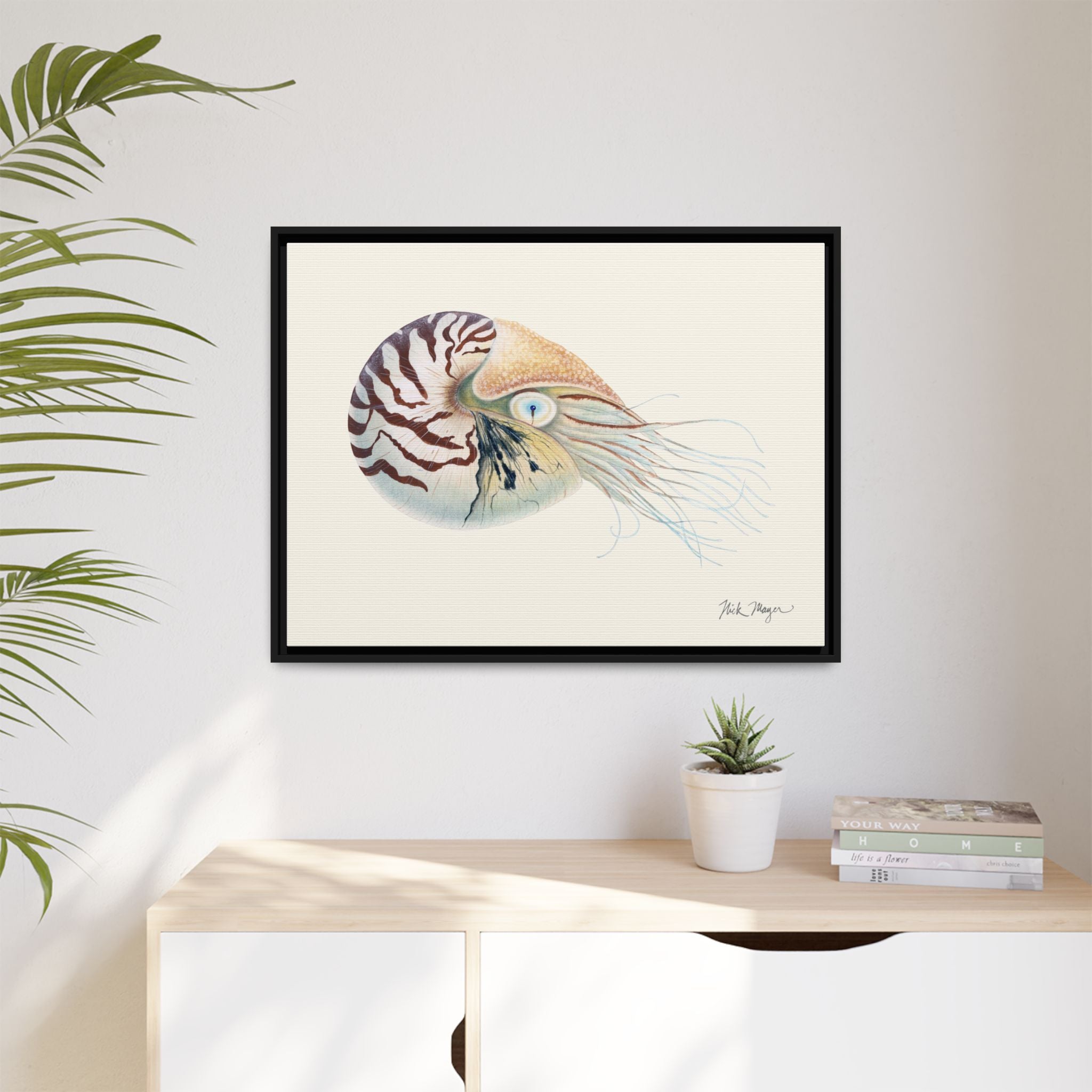 Chambered Nautilus Framed Canvas Print Printify