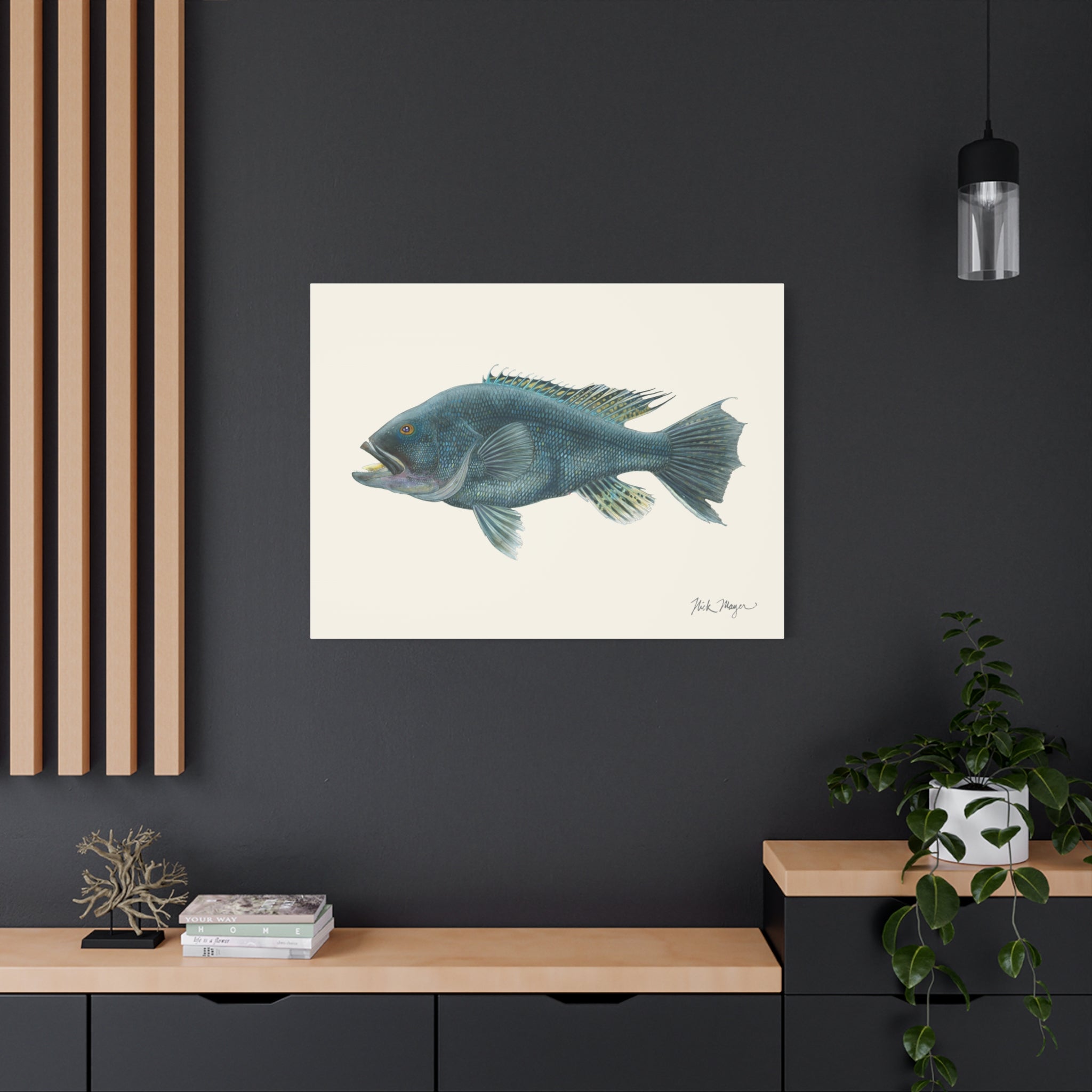 Black Sea Bass Canvas Print