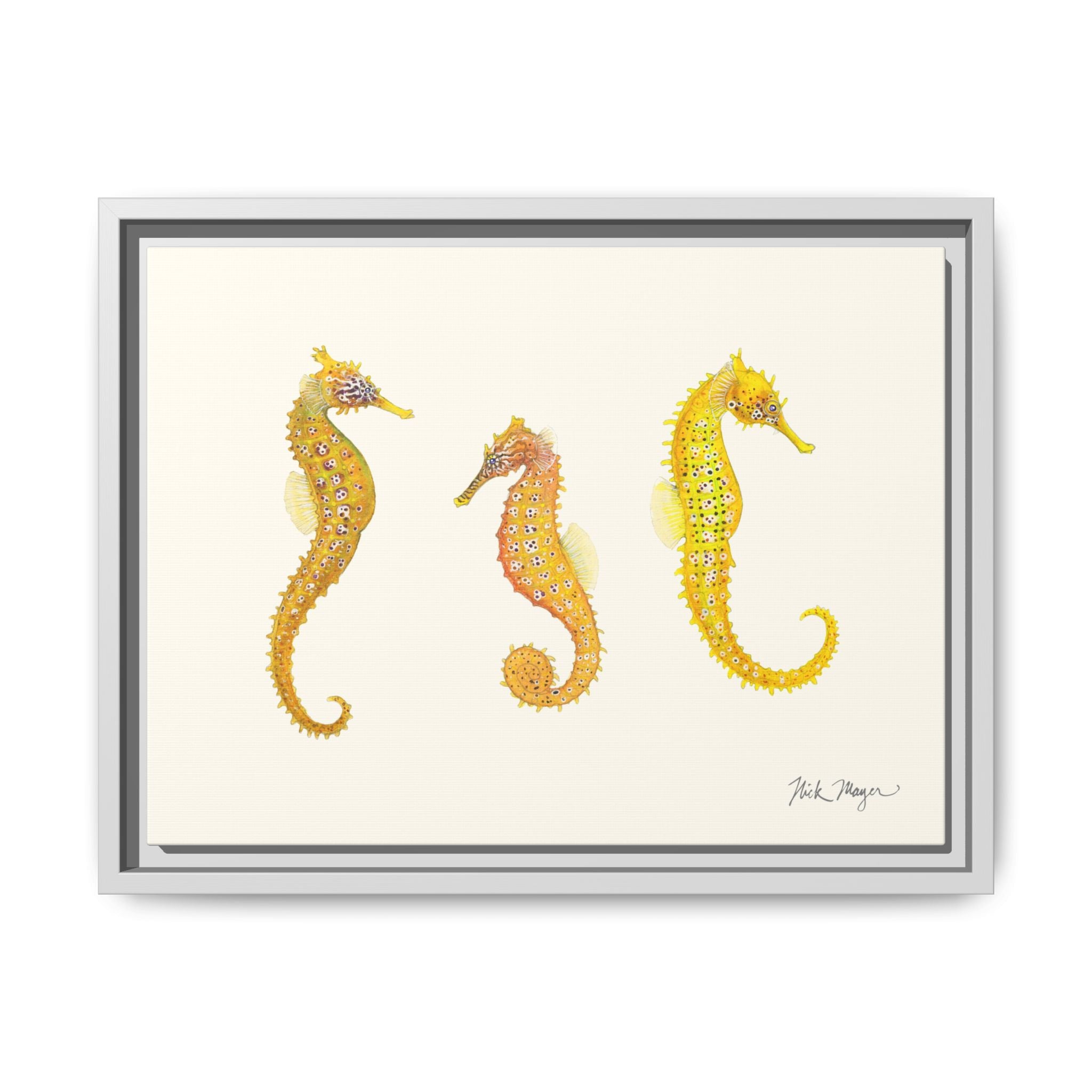 Giant Seahorse Trio Framed Canvas Print Printify